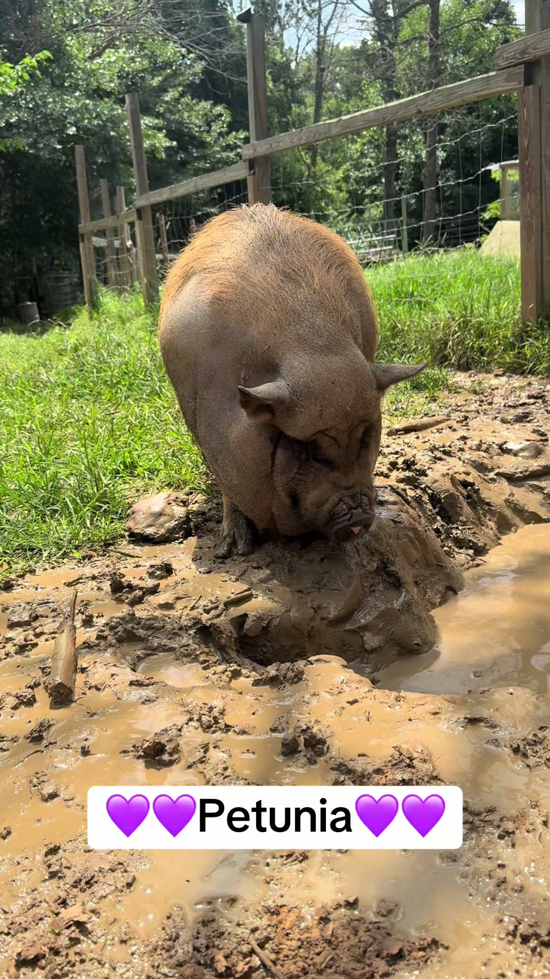 @merrickfarmstead