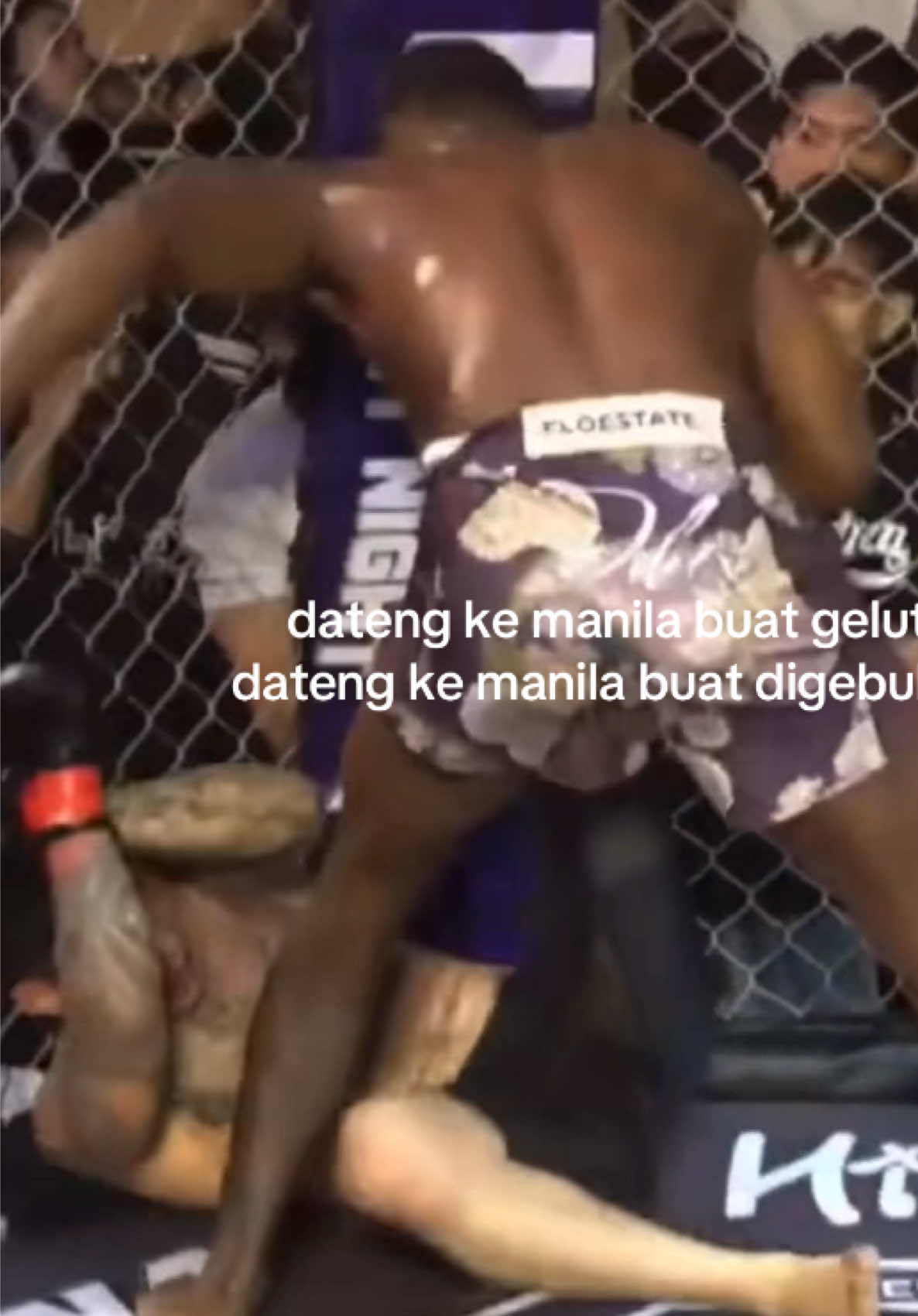 @Tentang Gulat