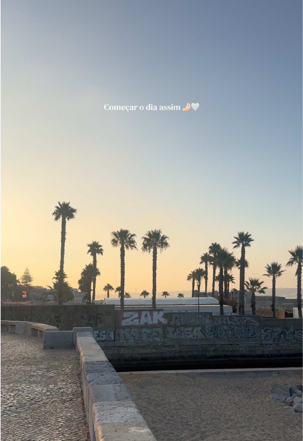 @Marta de Barros F. ✨