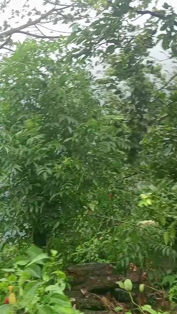 @kamod kuamr