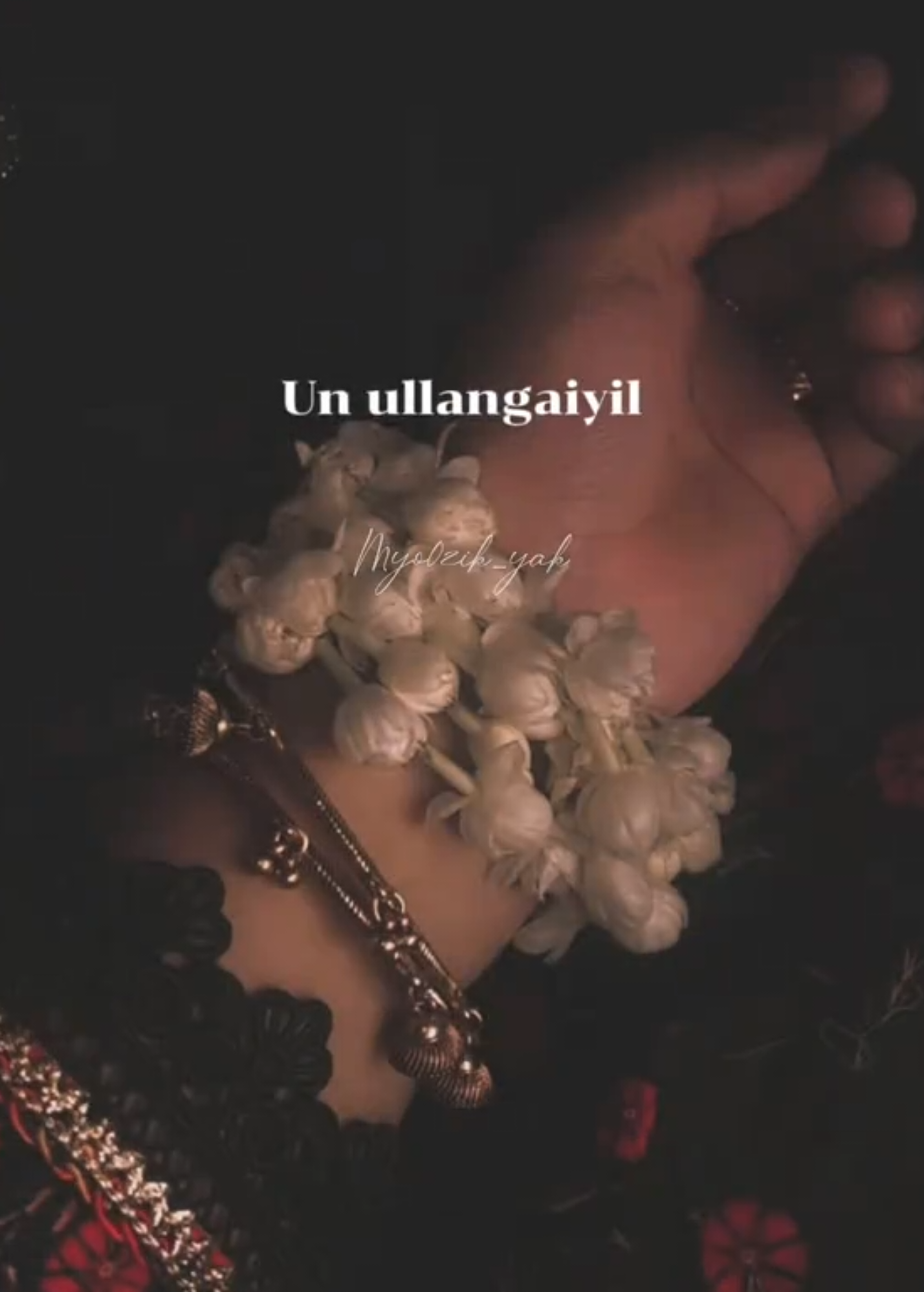 @ꪑꪗꪮ੦ɀỉƙ_ꪗꪖƙ ♪♫♬ 🧬