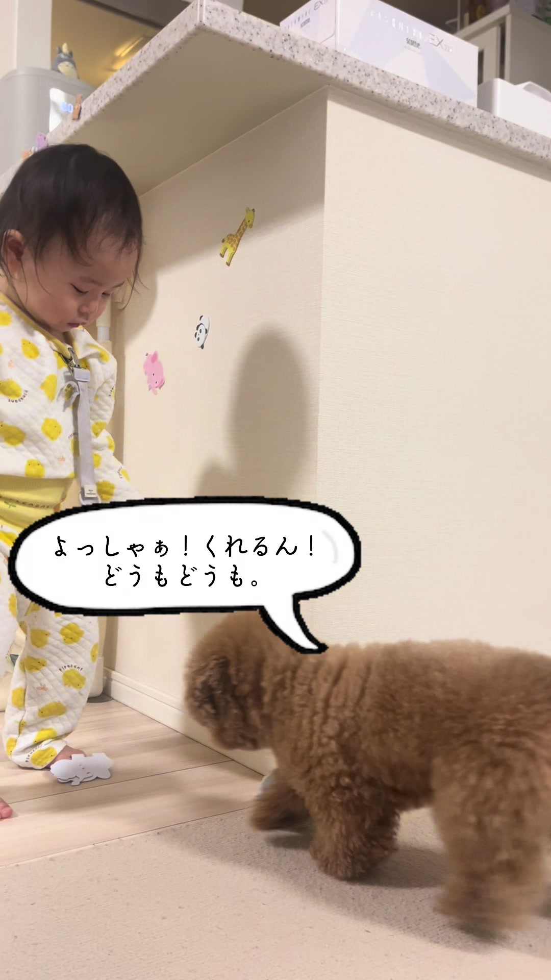@しゃこたん犬ぽこ🐶🐰with子分