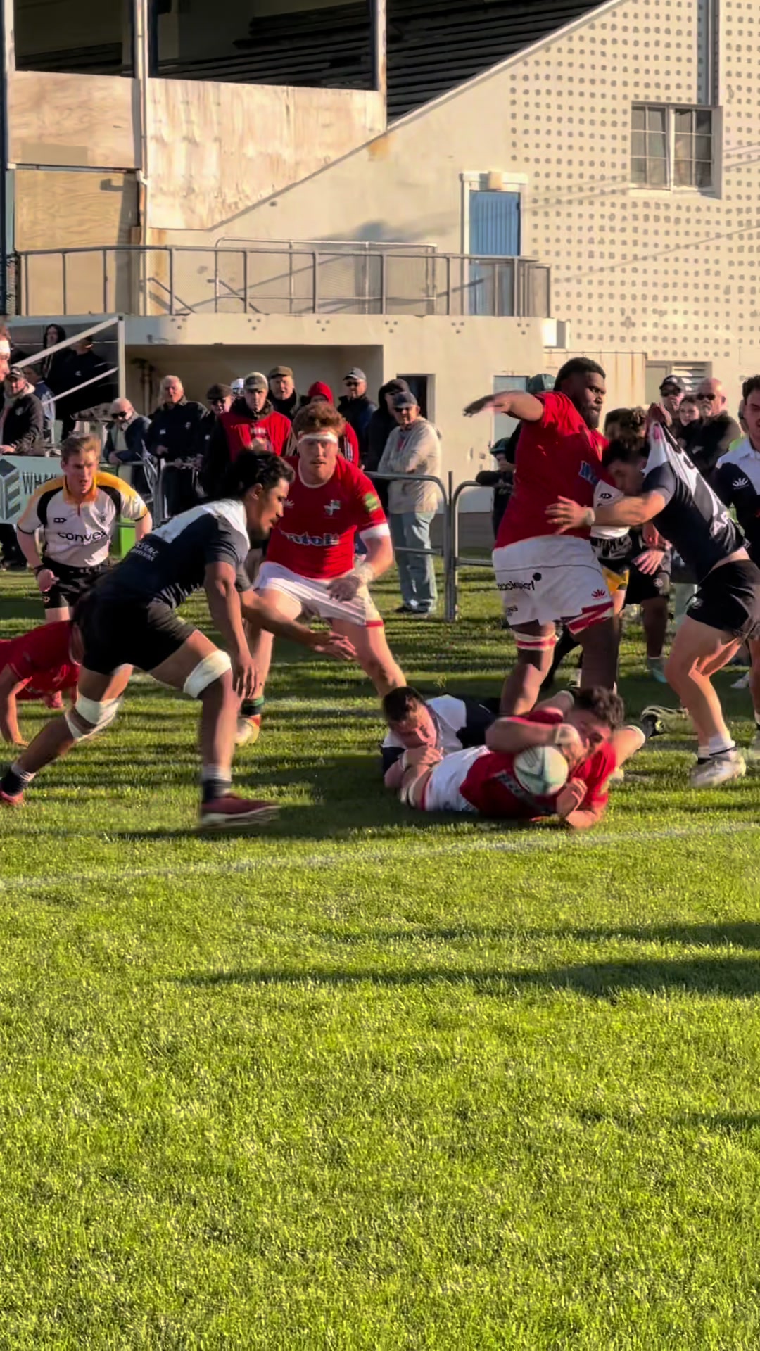 @msprugby
