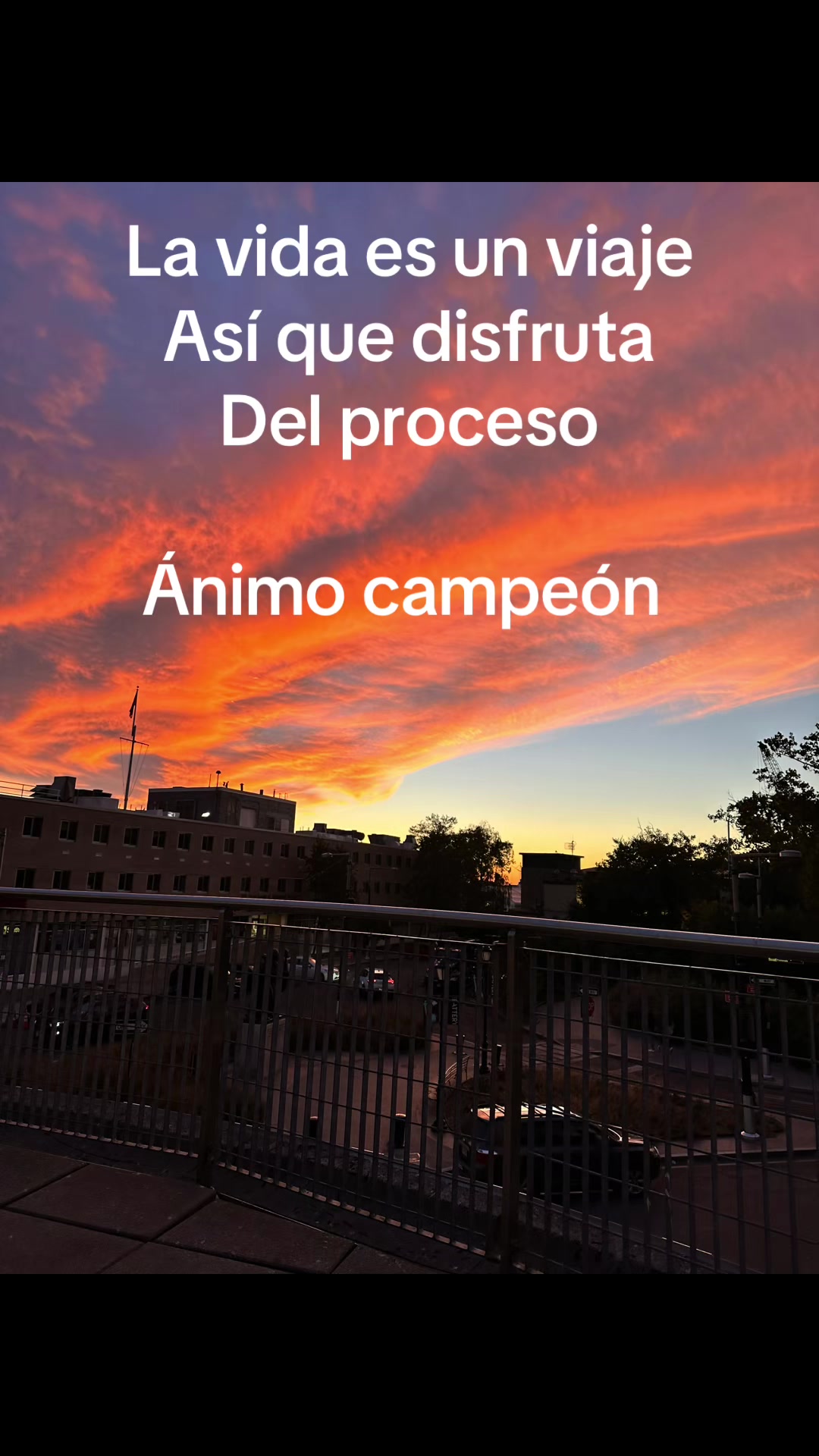 @Flores