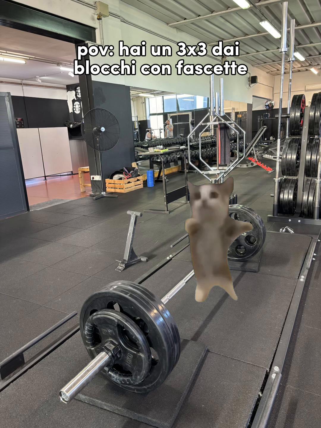 @Francesca Zaccarin