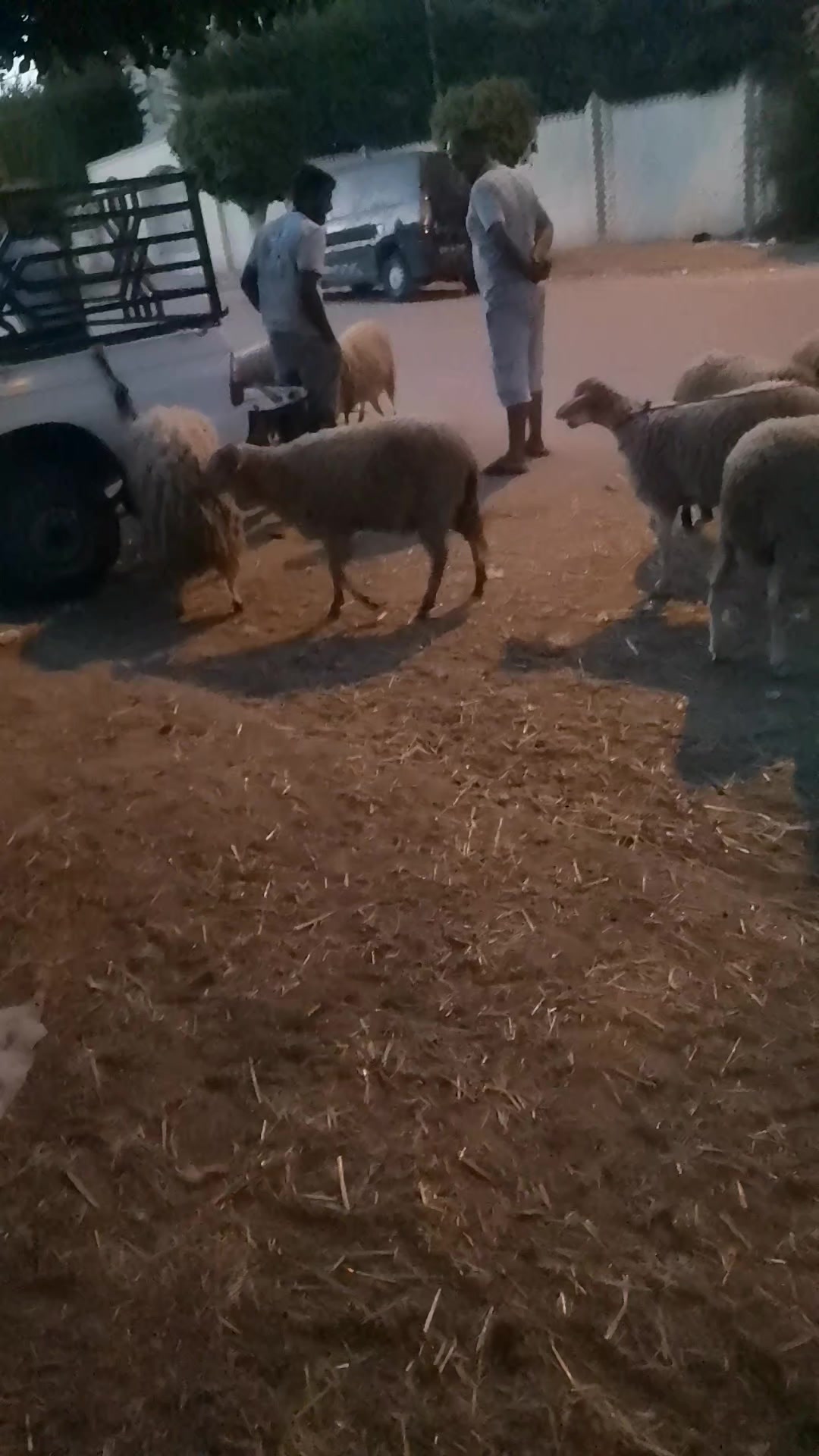 @&Eacute;uchi R&acirc;b&igrave;&icirc;