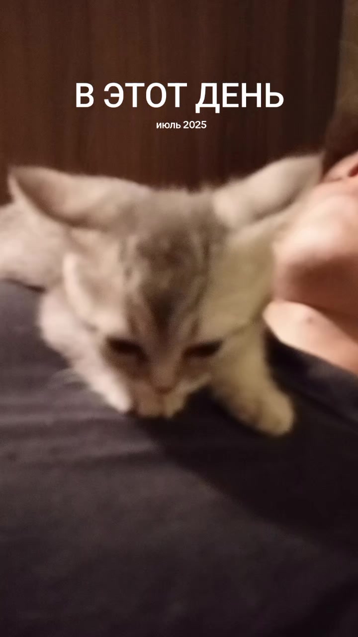 @анчапа