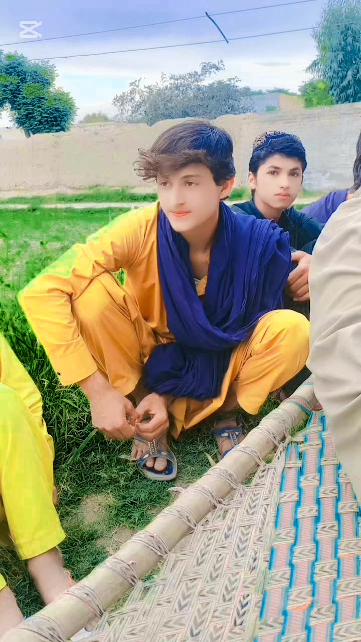 @wali gull 99