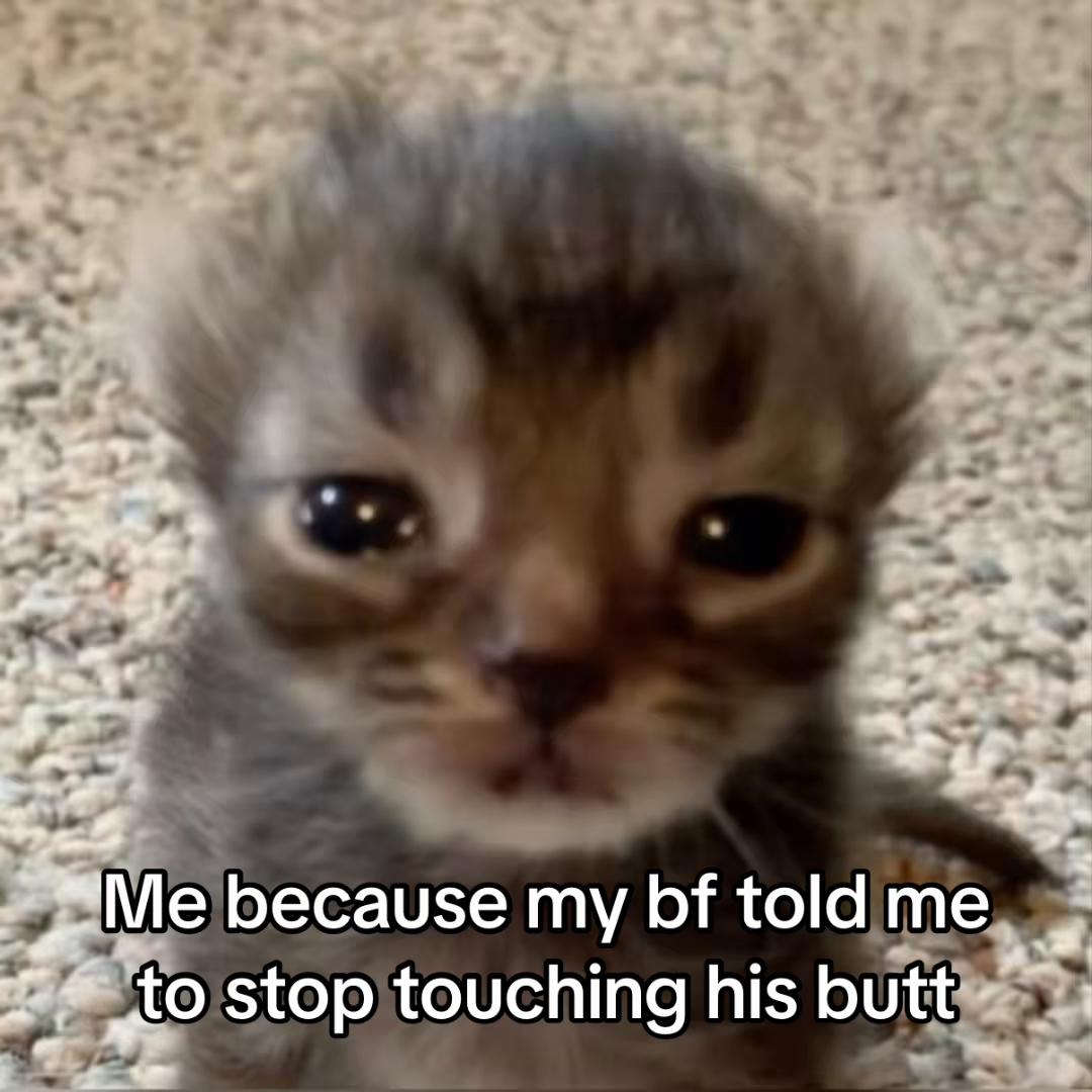 @LavanderCat