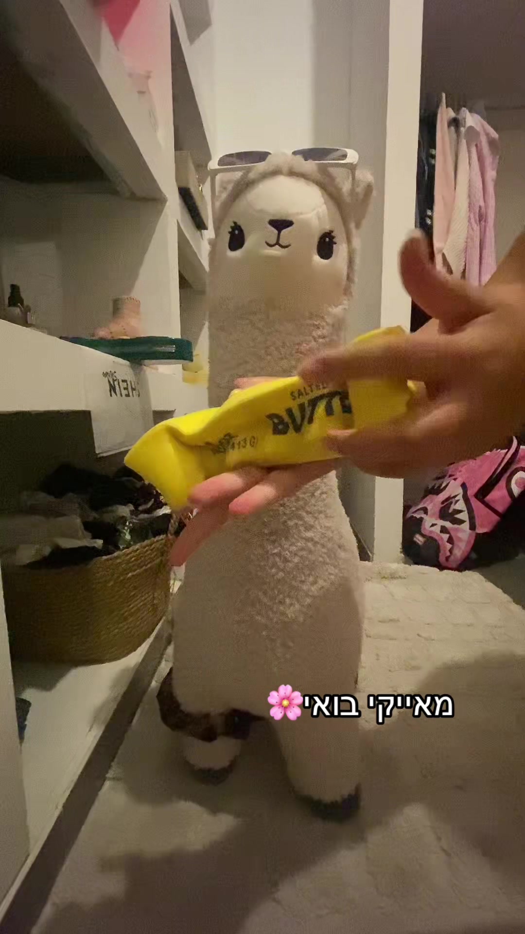 @שלומית הפיימוס 🦙🦙