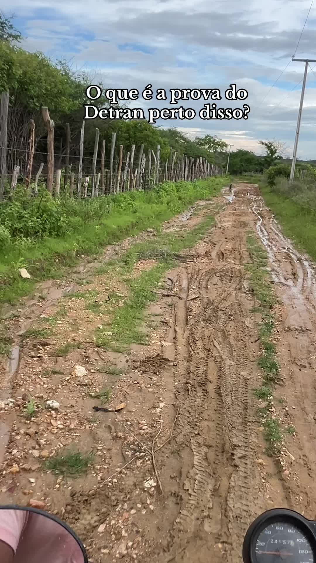 @Vit&oacute;rinha