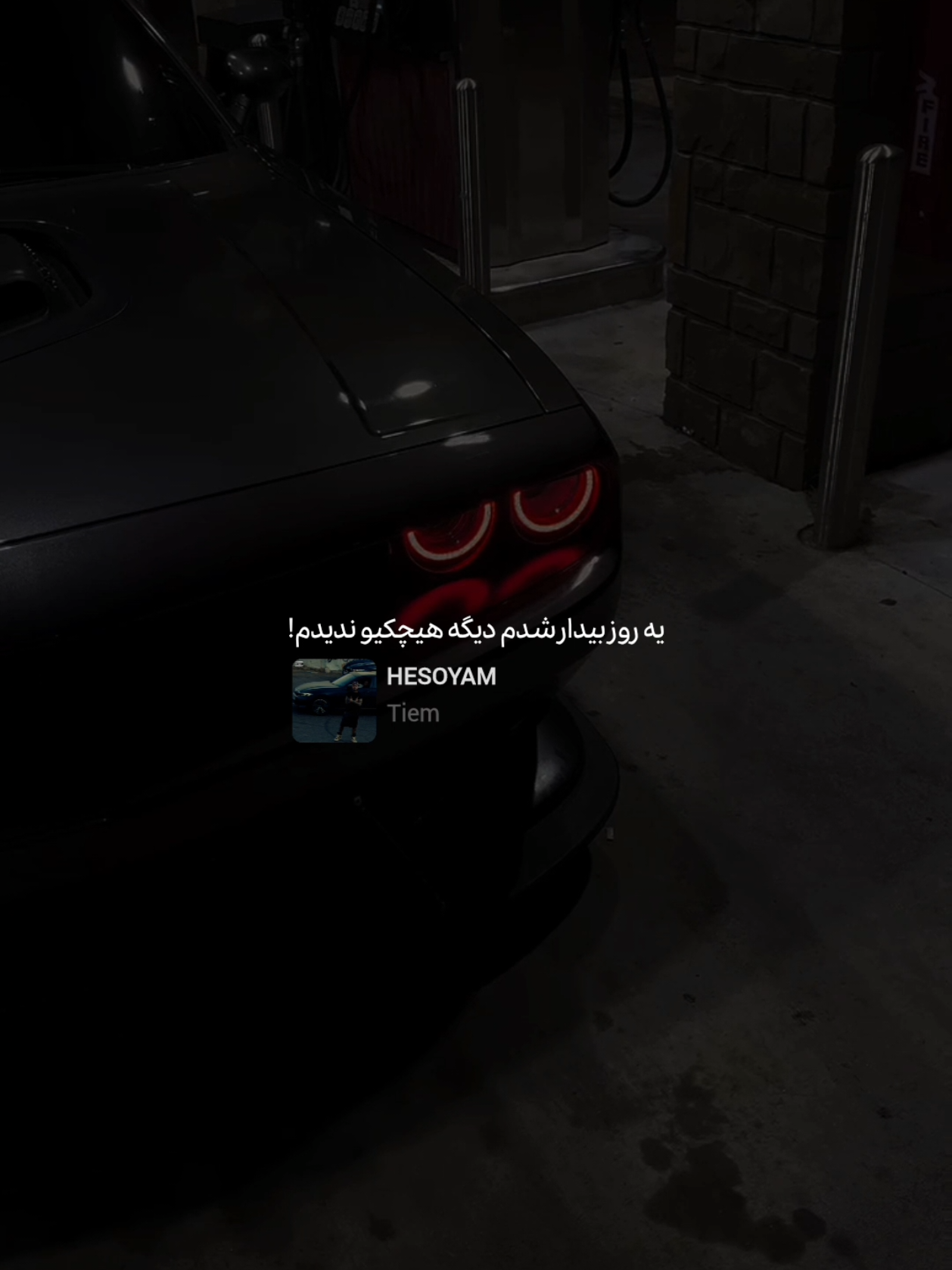 @rigeledit