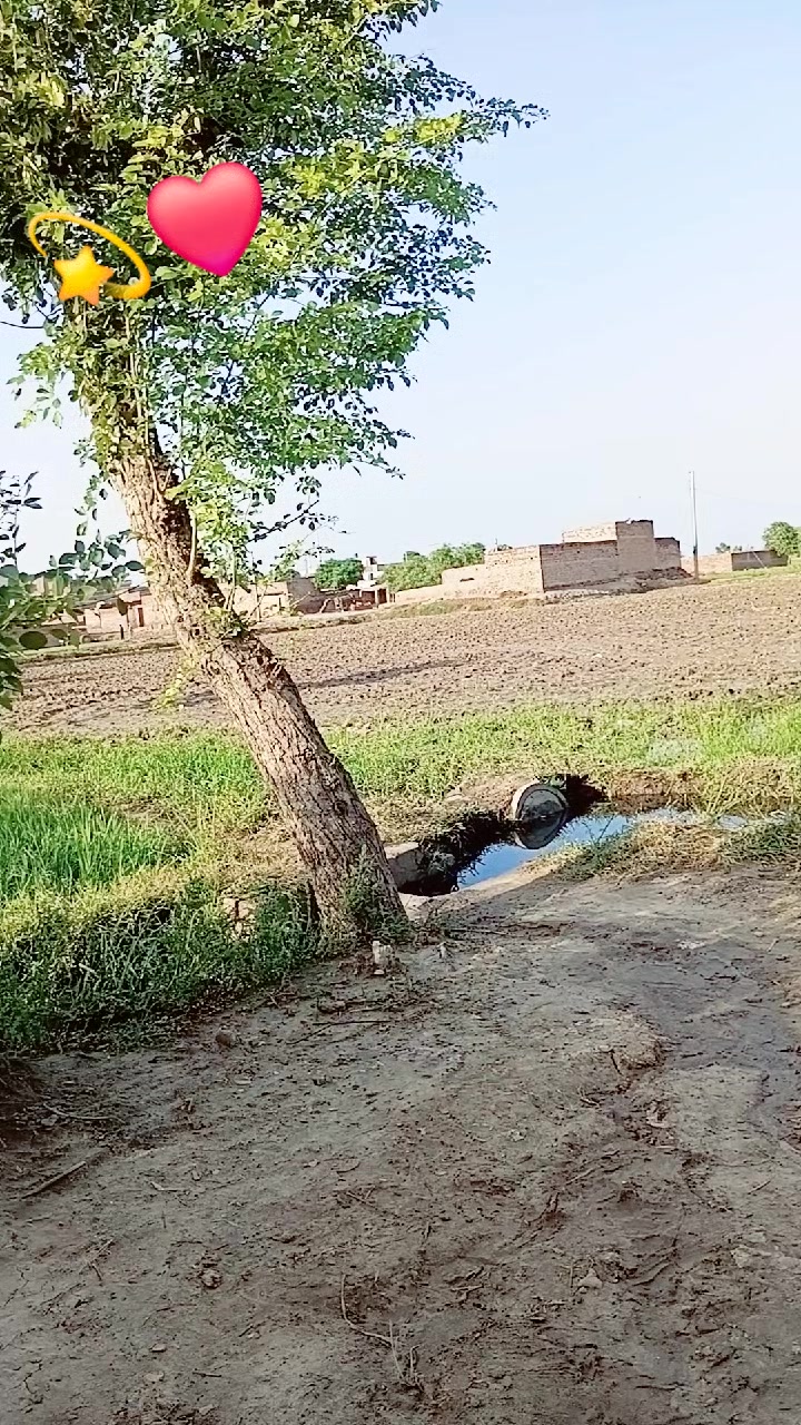 @Asim Gujjar905
