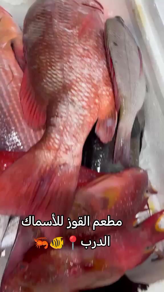 @مطعم القوز للأسماك.الدرب🧿