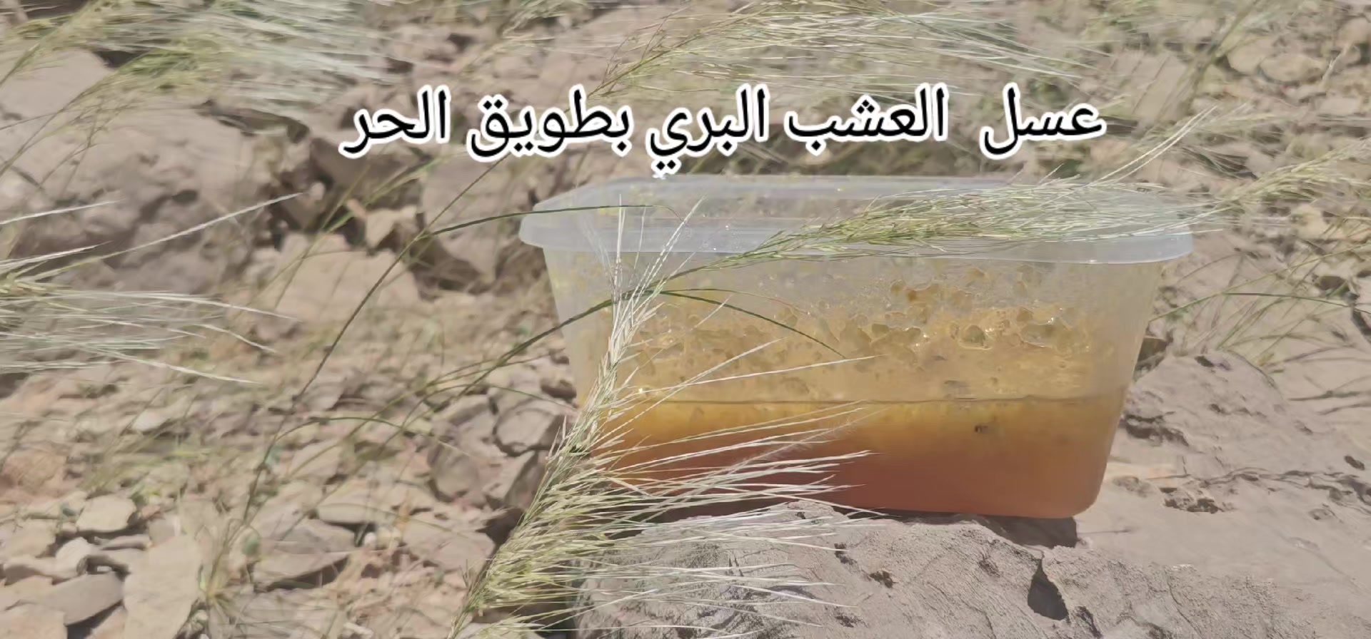 @⚔️ابوجهاد⚔️