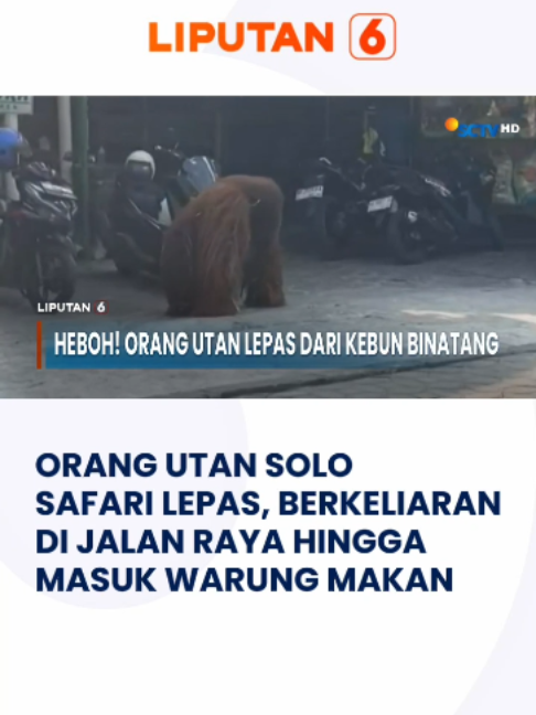 @Liputan6