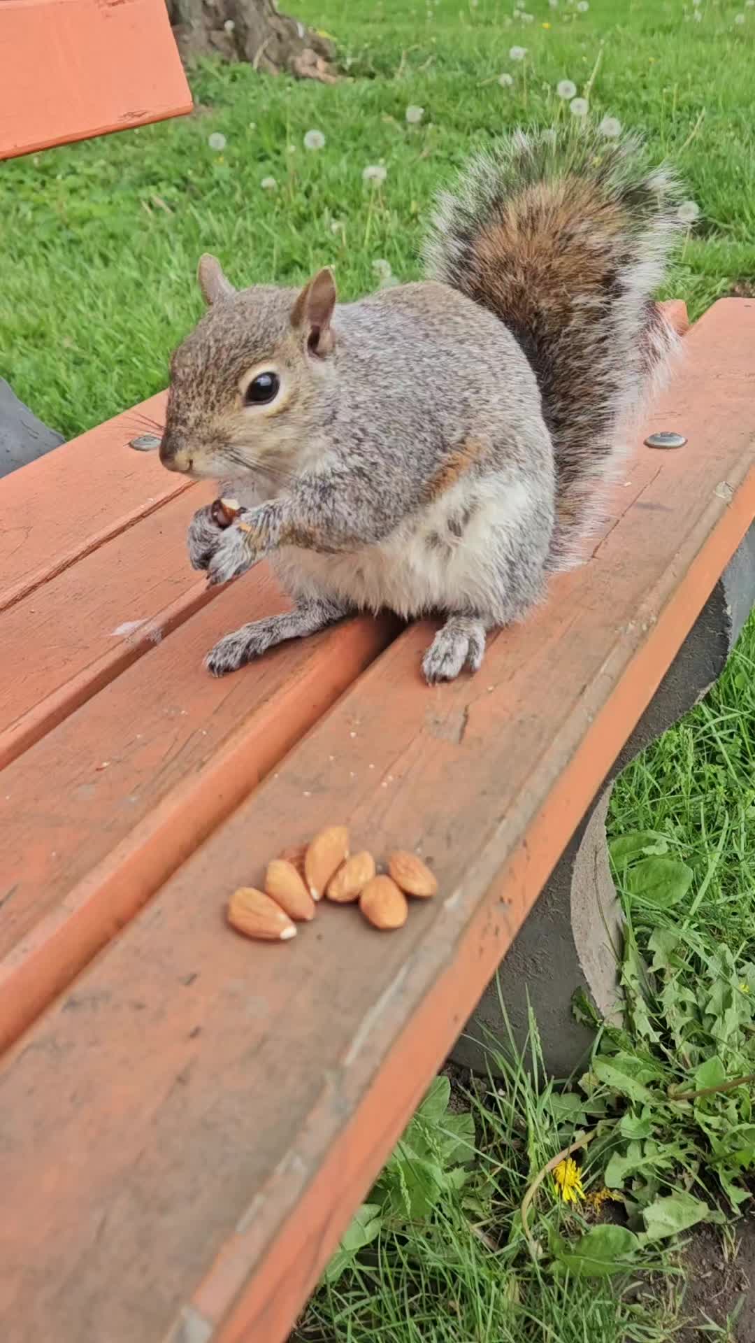 @cschultz2