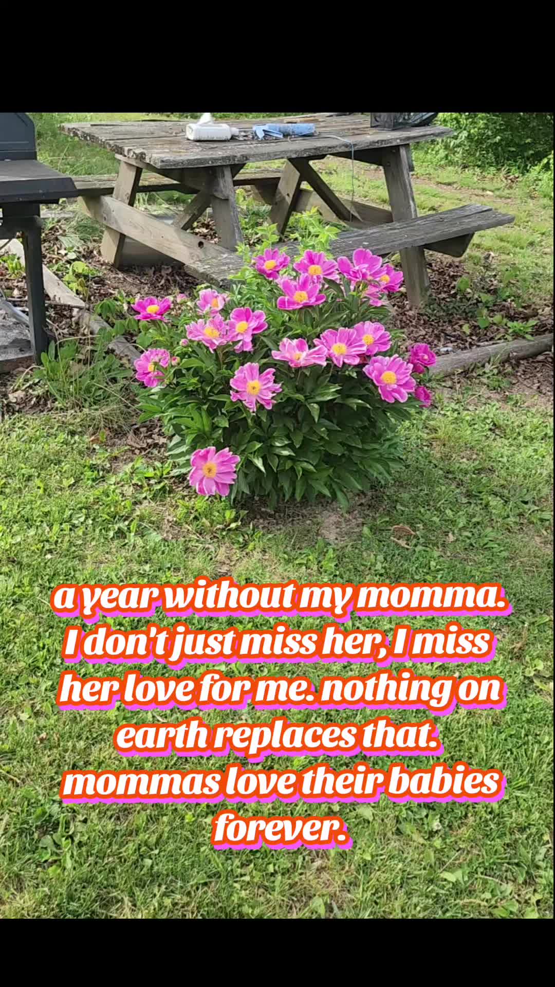 @Marissa Rose
