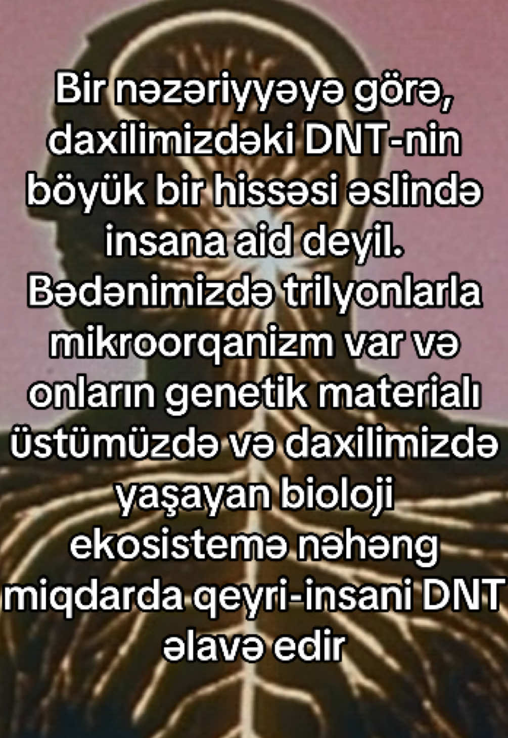 @𝗬𝘂𝘀𝗶𝗳🇺🇸