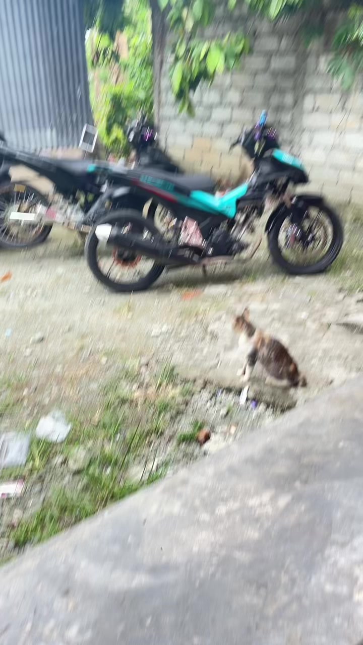 @ROFIZAL_031