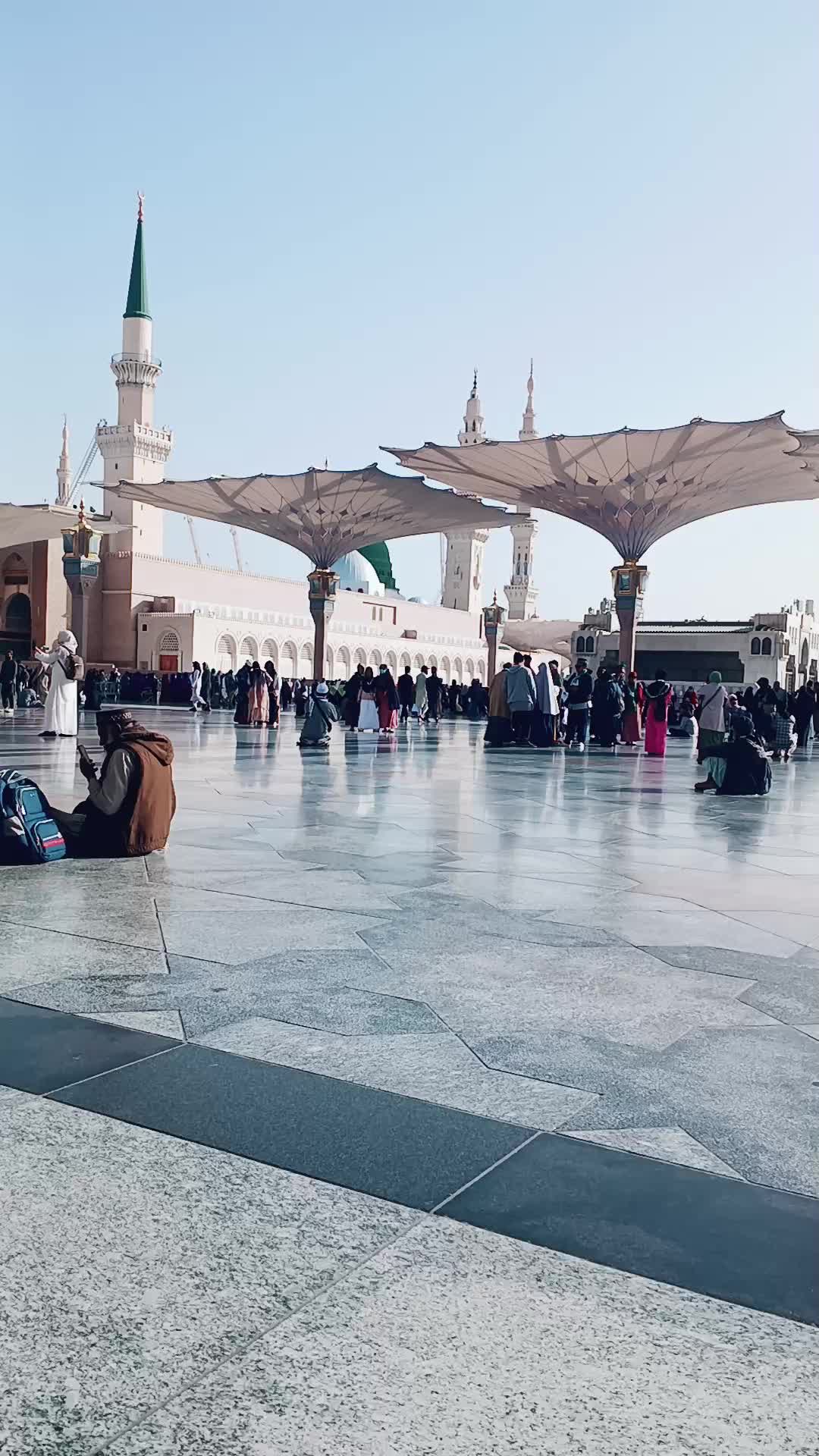 @حبیب الرحمن الفت