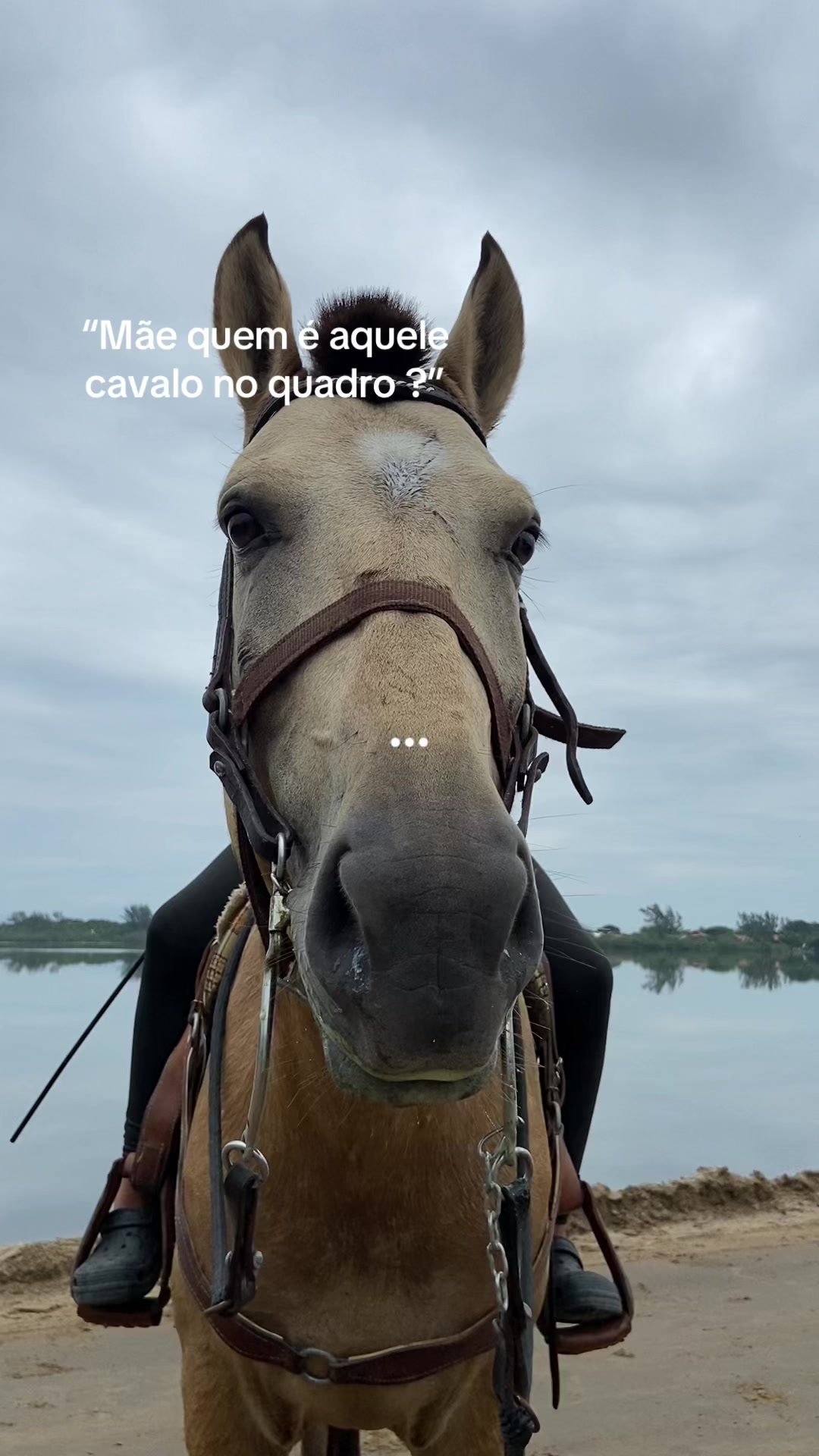 @Pᥱ́r᥆ᥣᥲ ᥱ ᥴᥲ&rho;&iota;tᥲ̃᥆