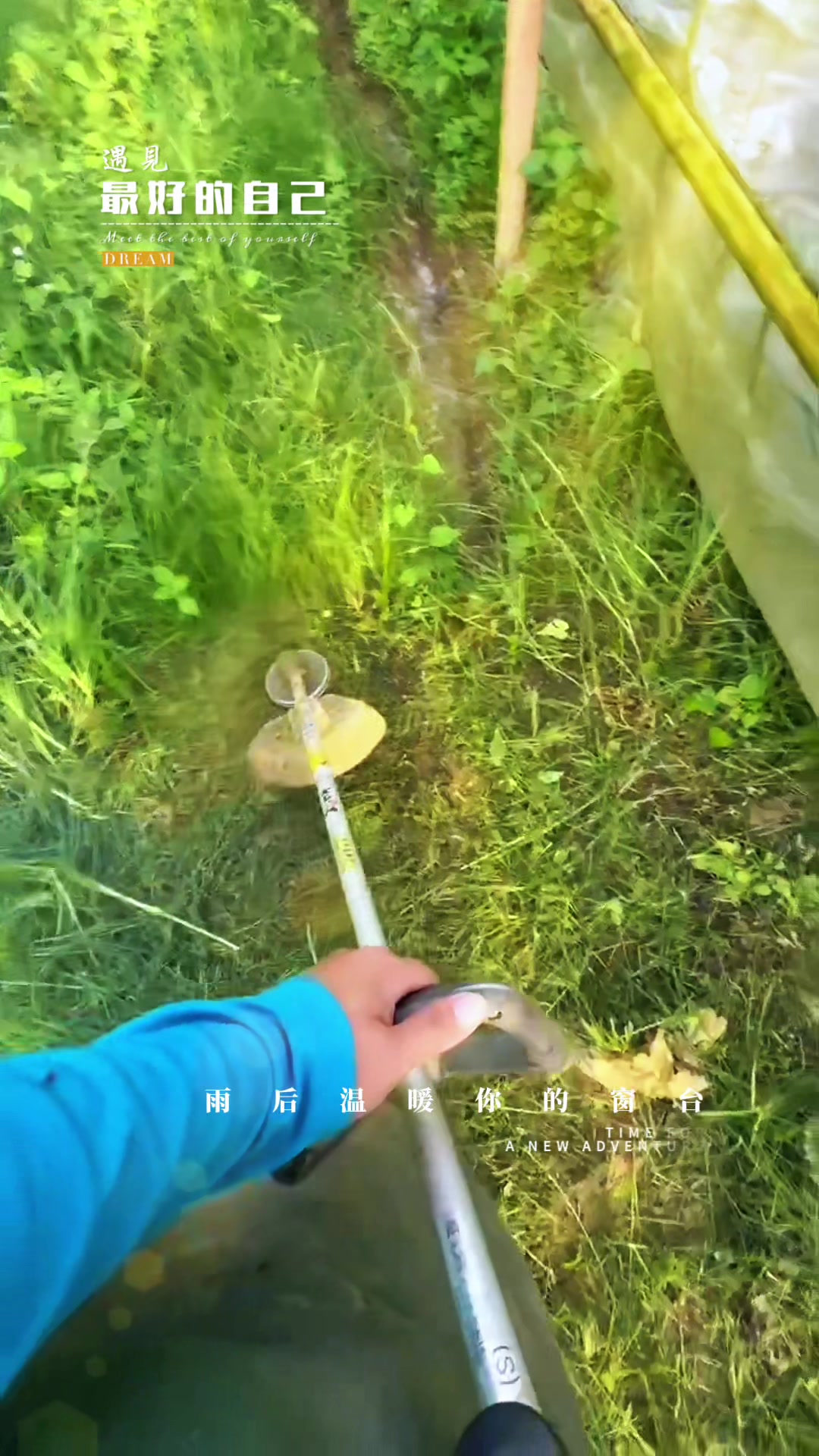 @億昌果園 燕巢芭樂棗子