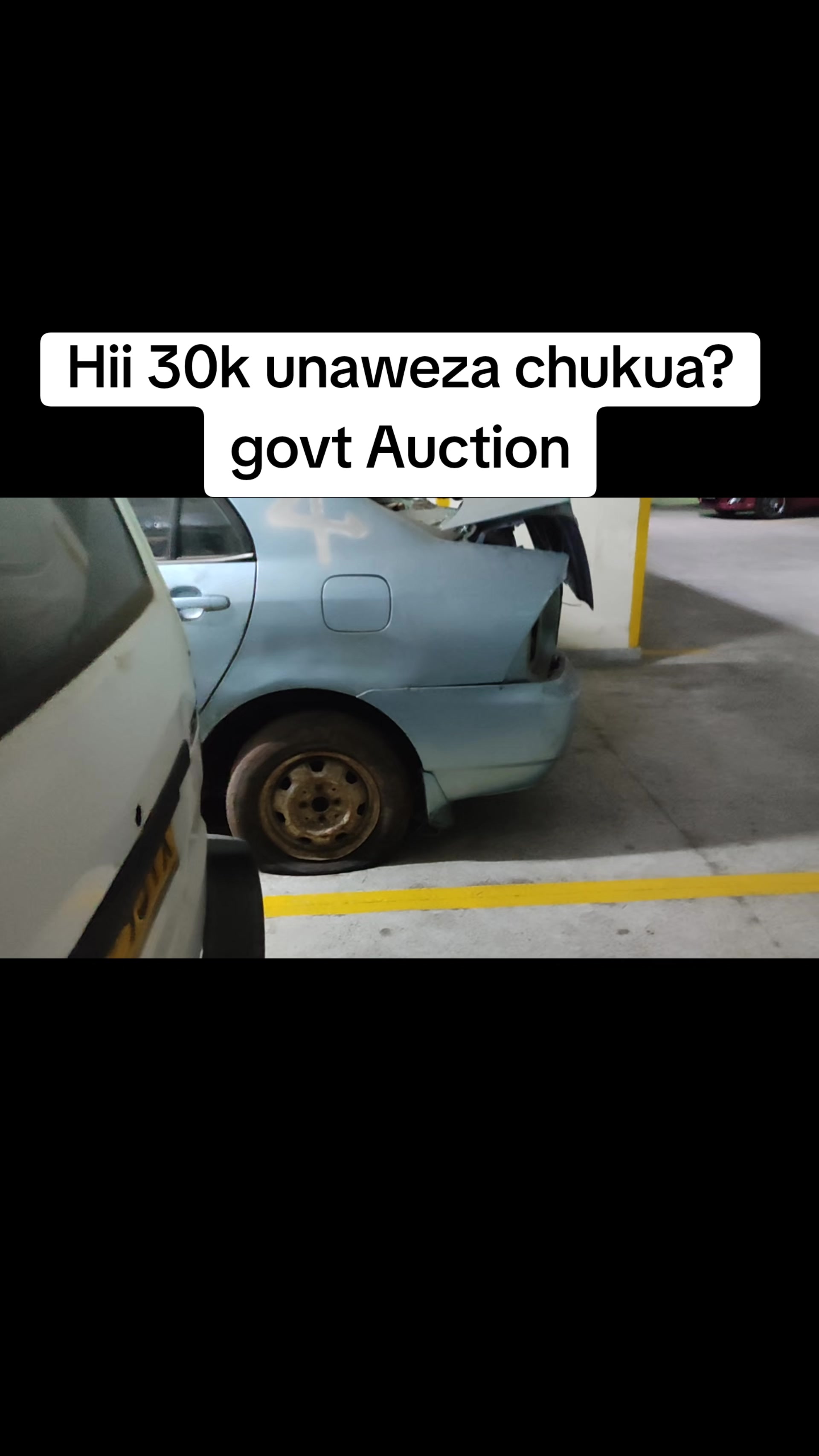 @pamurickshow