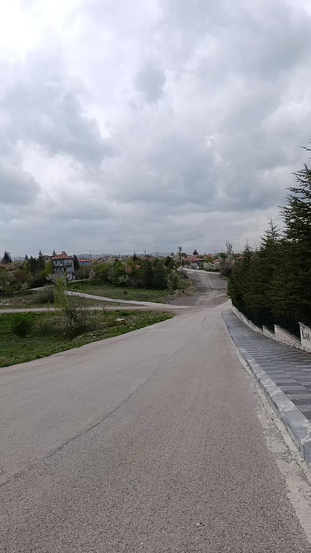 @Gizem Aygün.19