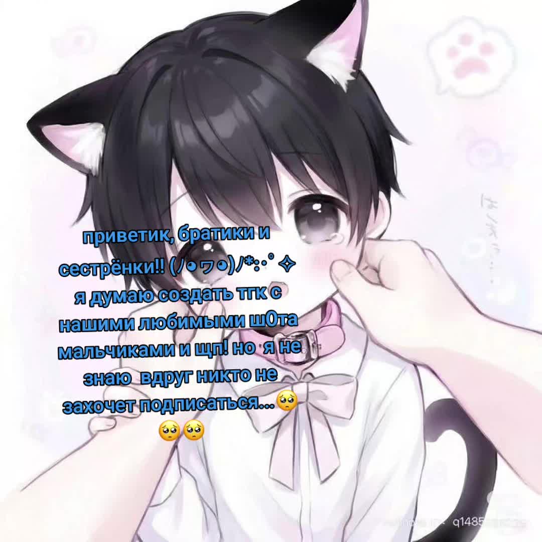 @Setomi