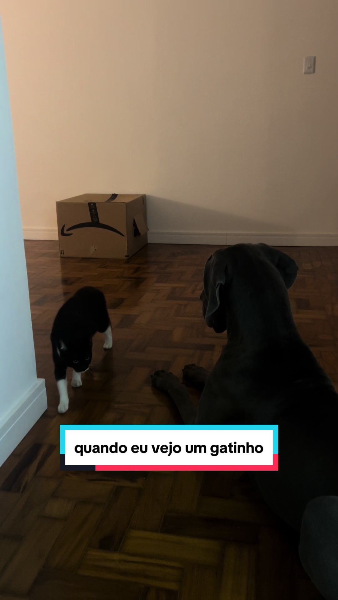 @madonna_grandona