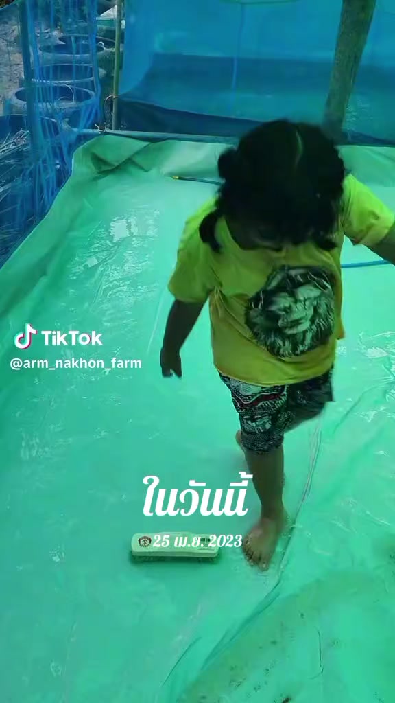 @wichairat kongswat