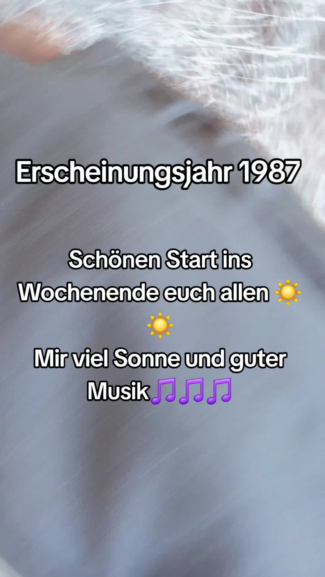 @DerWogi