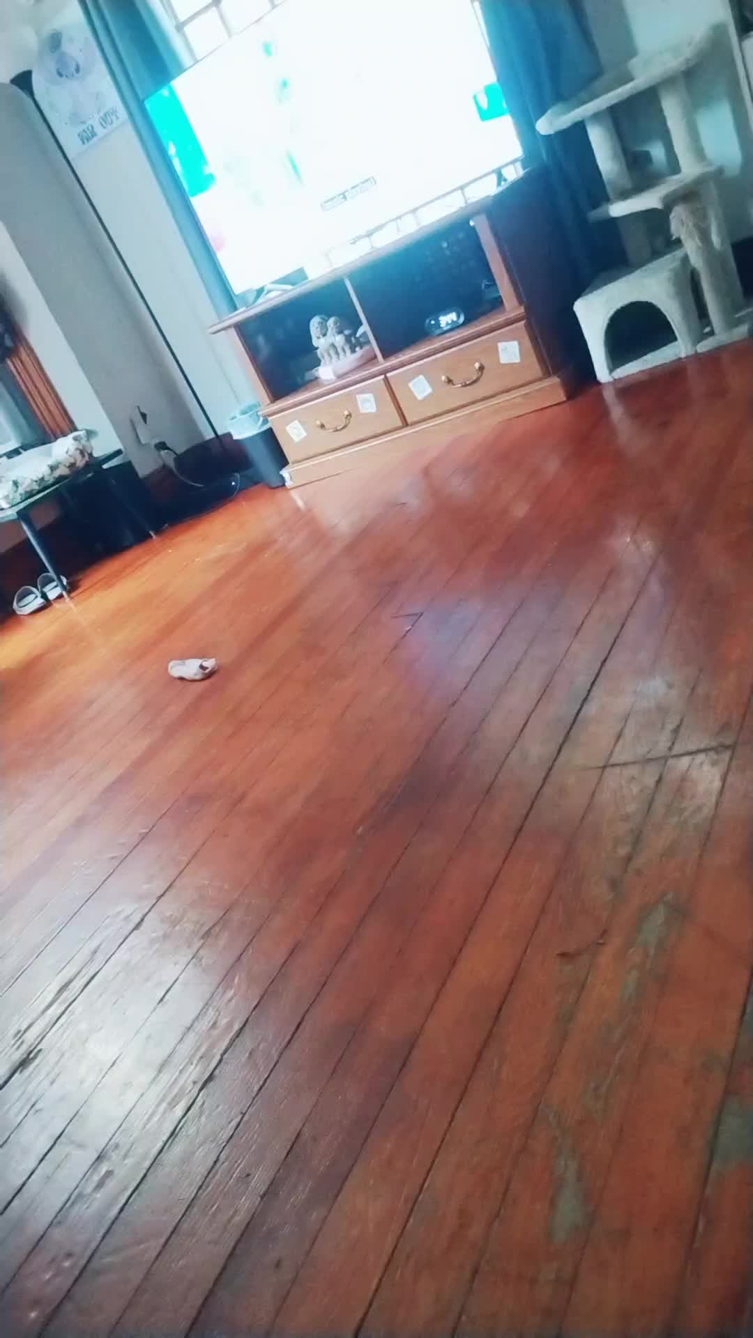 @SEPTEMBER _ GURL 1980