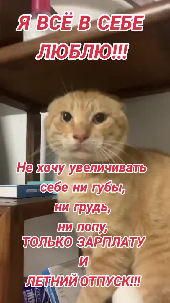 @Алла