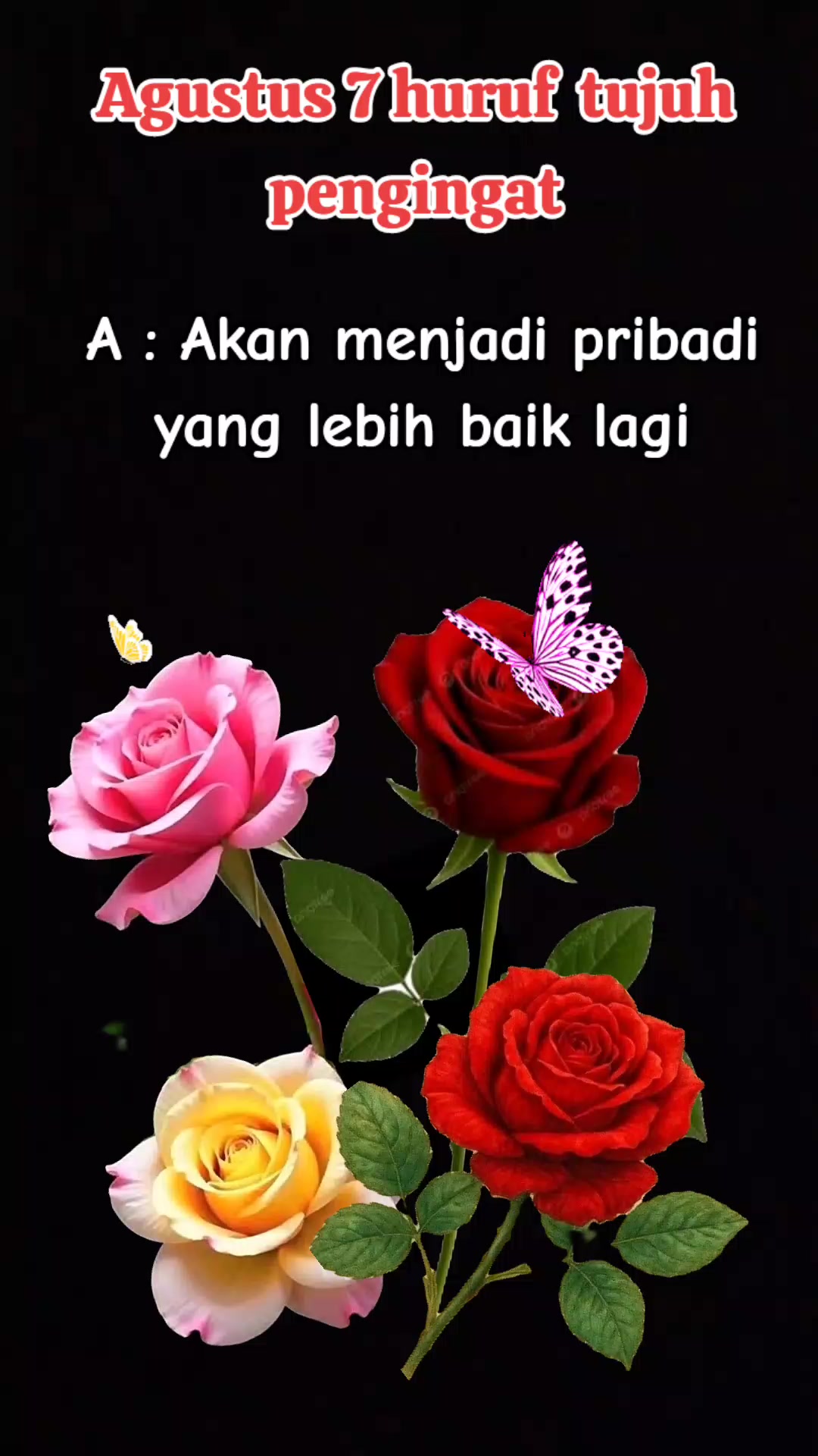 @Maedaffadanish