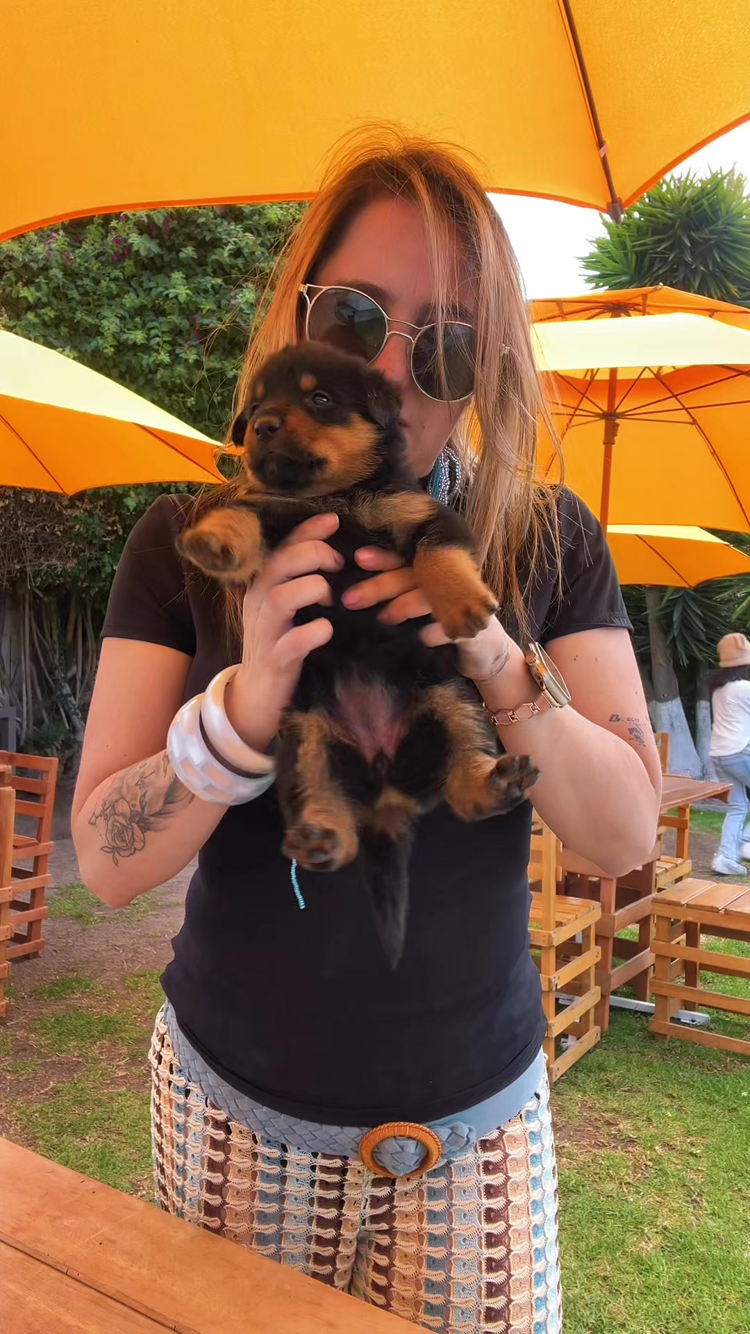 @I love DOGS