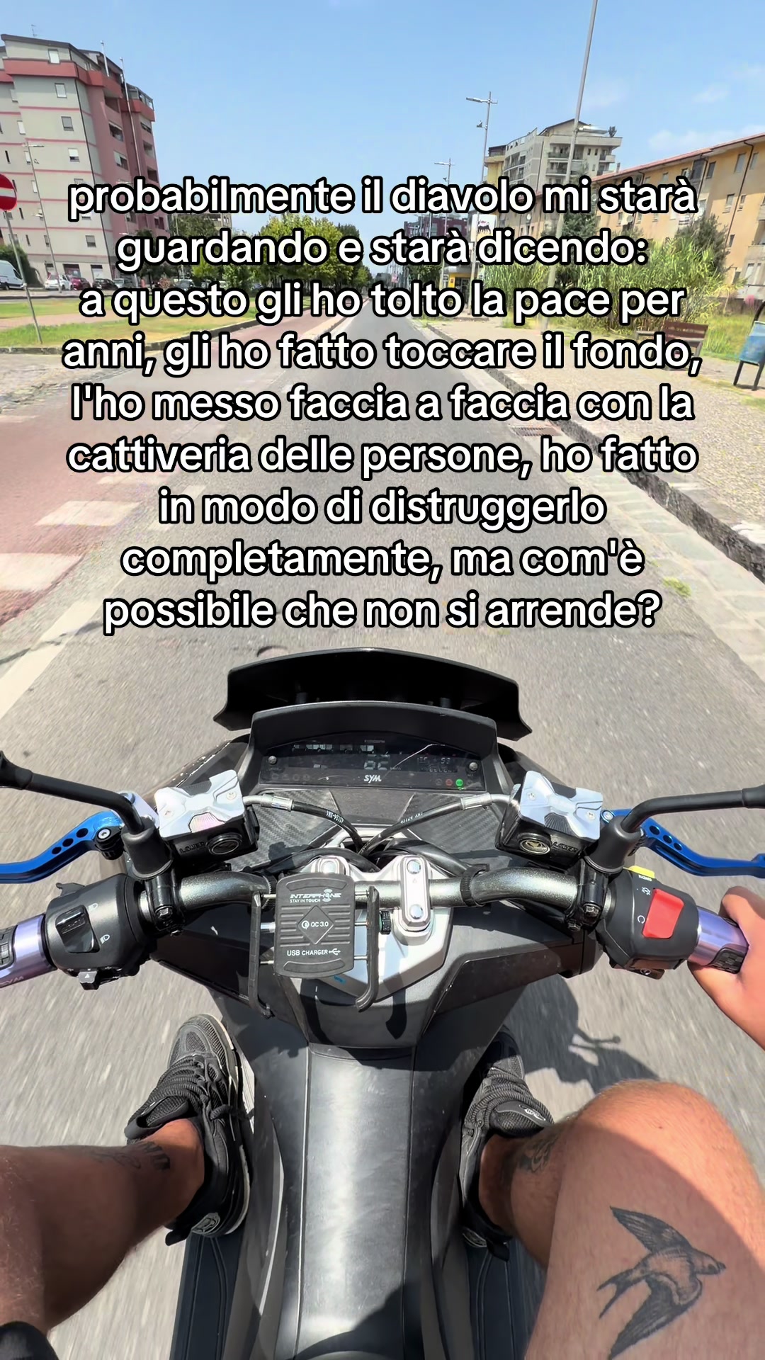 @rosario tiano