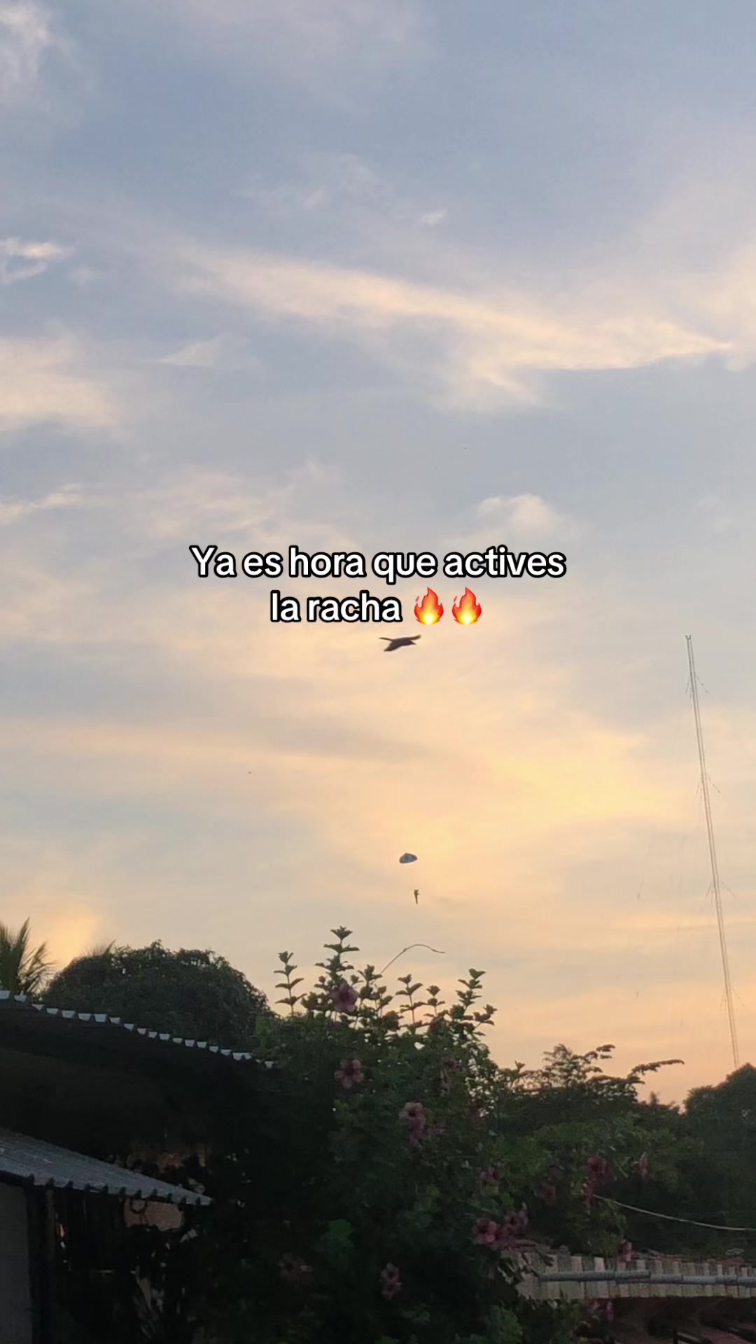 @RabPesito 🔥