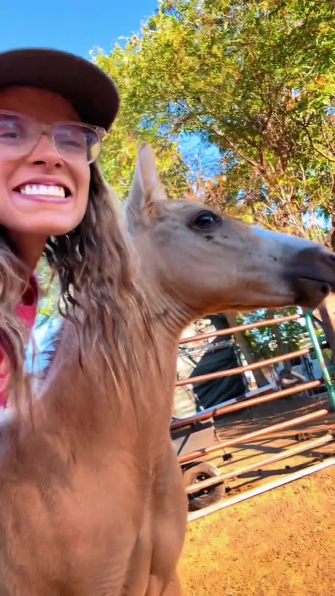 @Cowgirl Tuff Colt Training ❤️