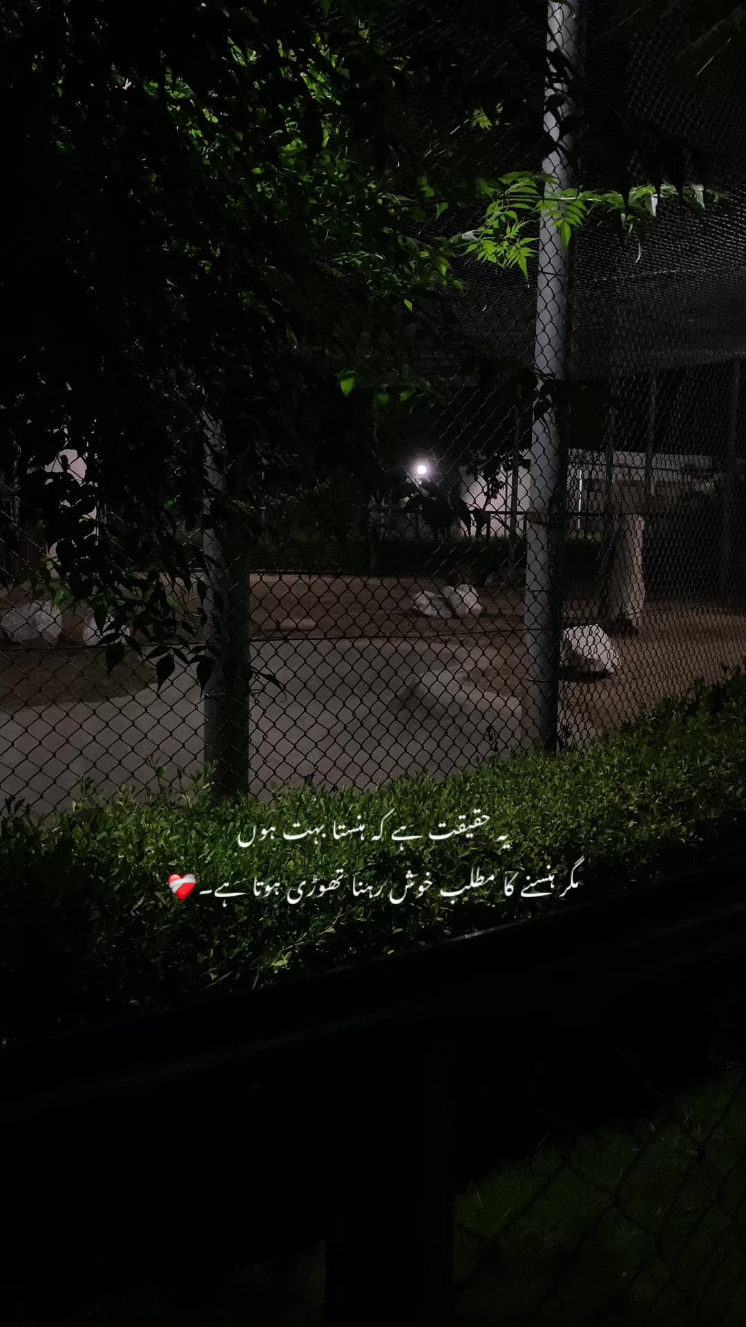 @ع🩹❤️&zwj;🩹
