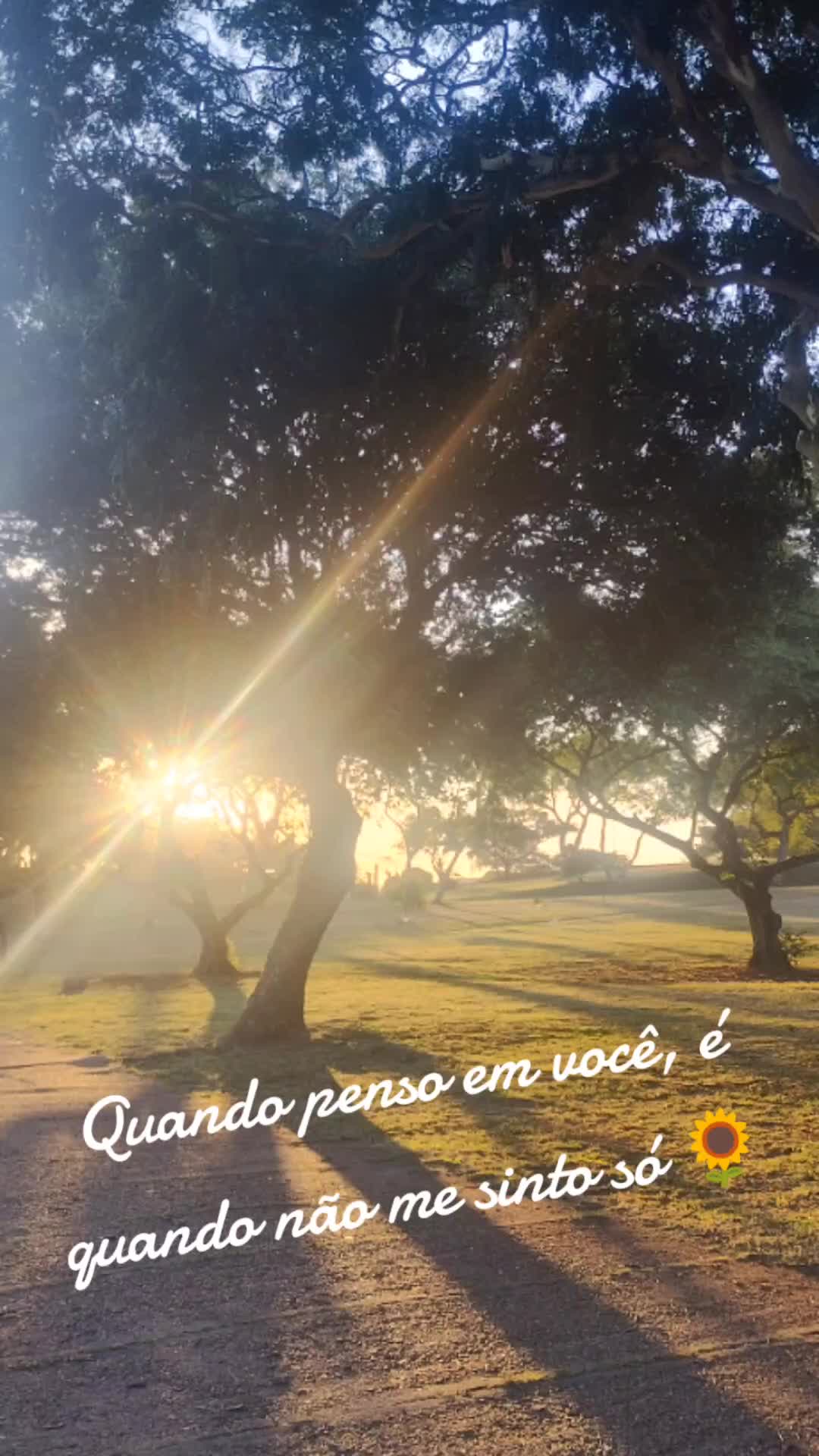 @Jacqueline Cavalcanti