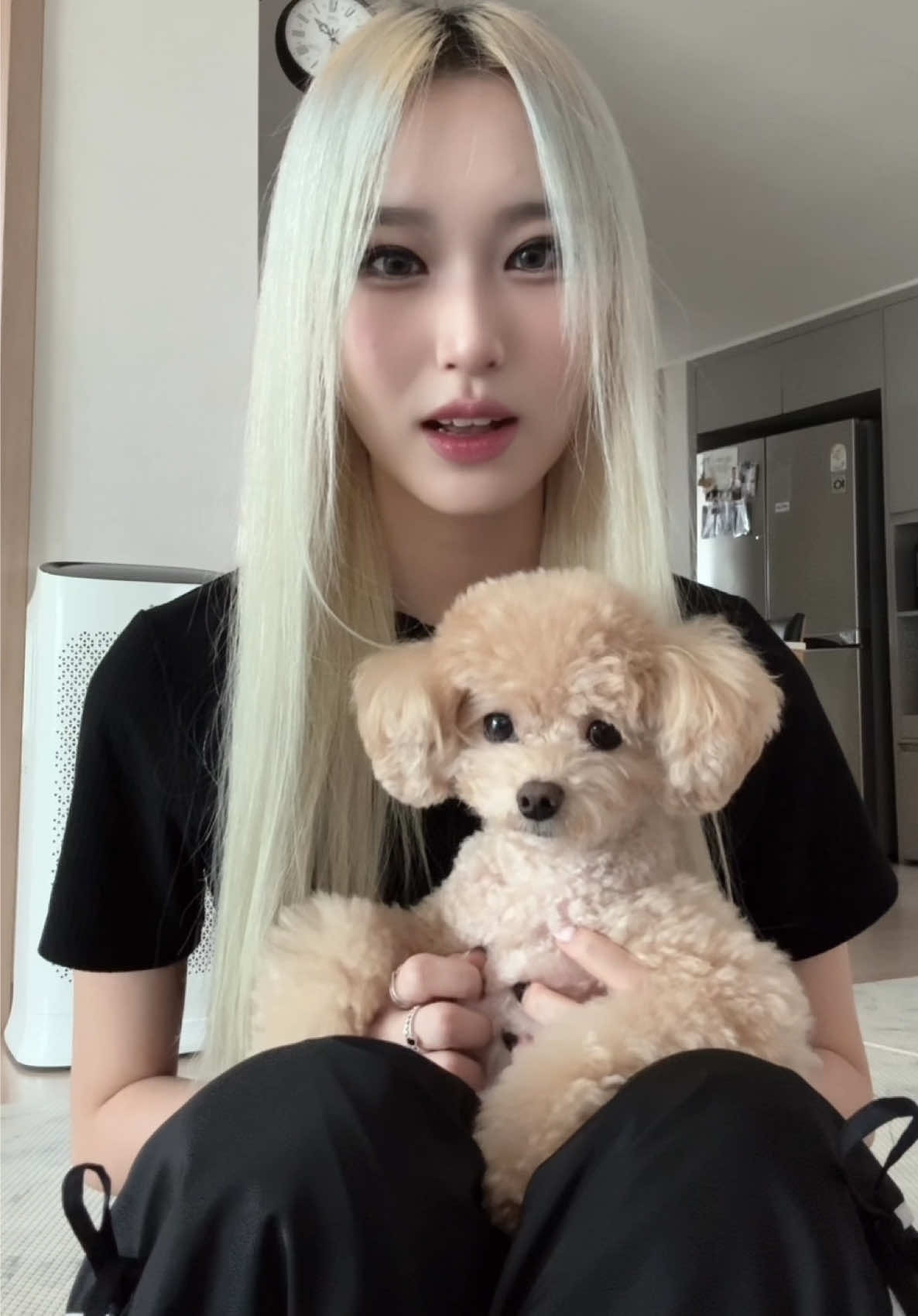 @차간지