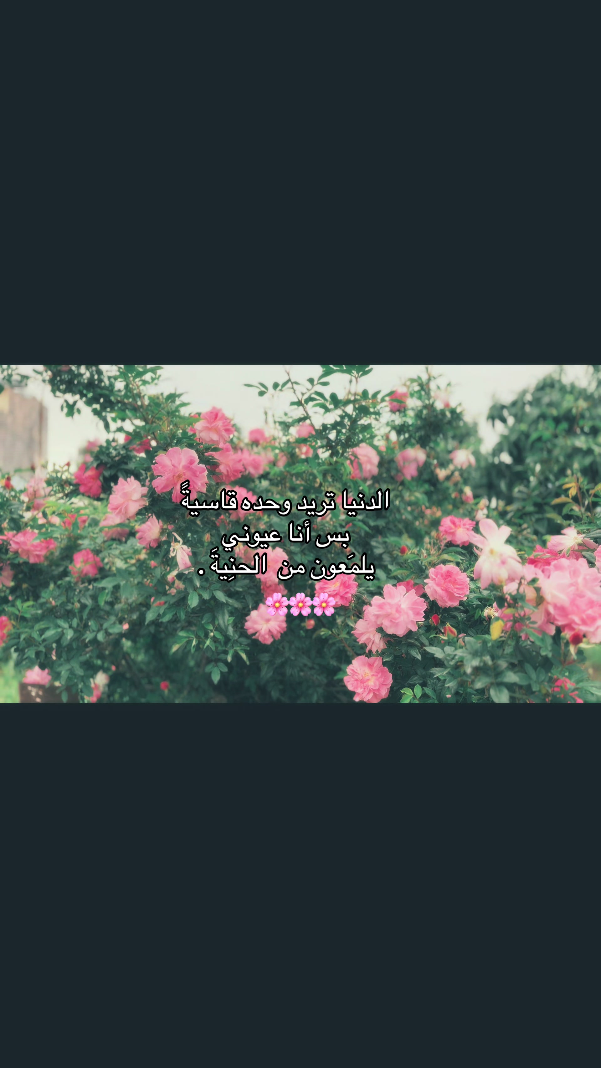 @๐ง๐ปโ๏ธ๐ B a h a r ๐ช๐