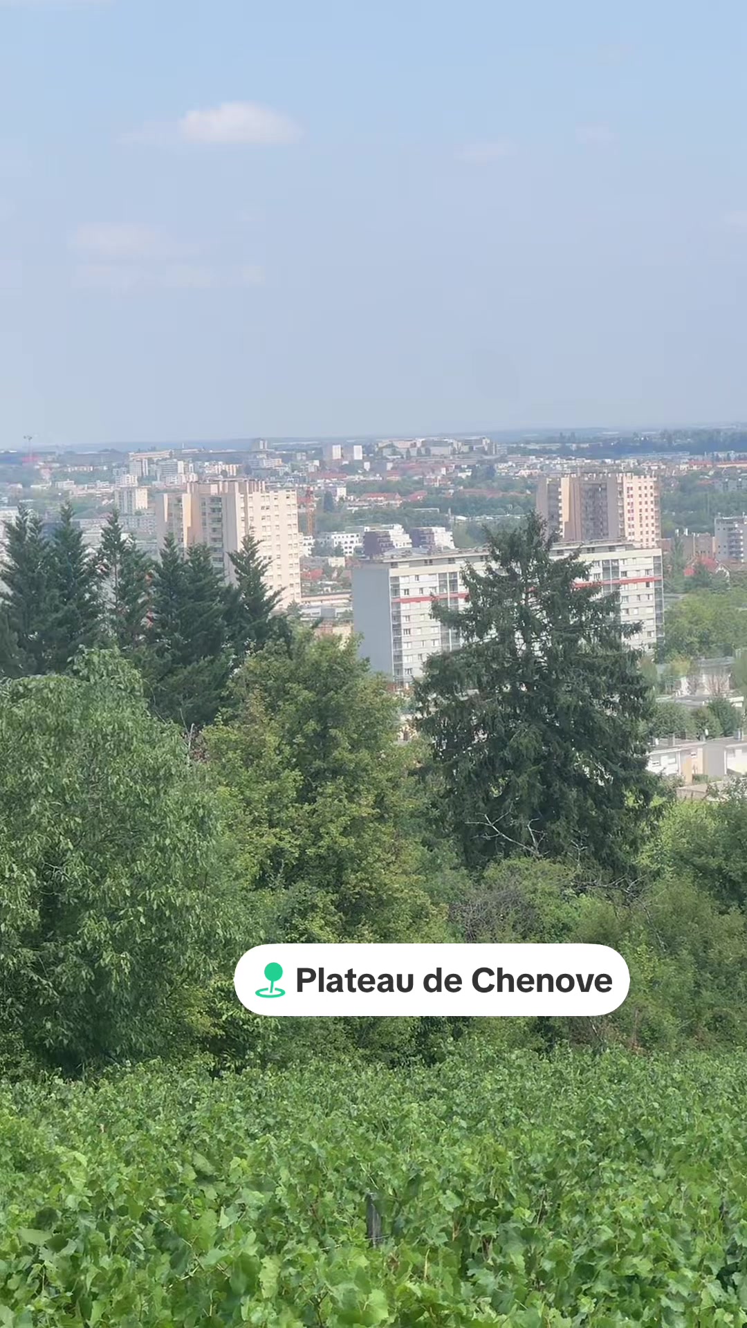 @Saladedijonnaise
