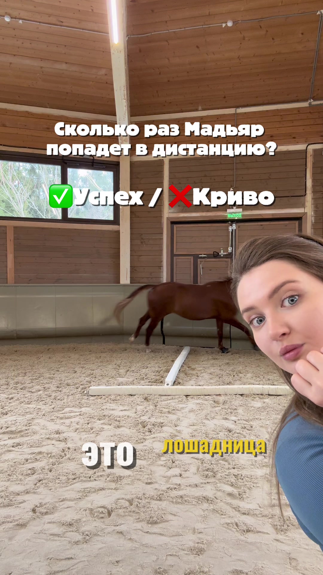 @Лошадница