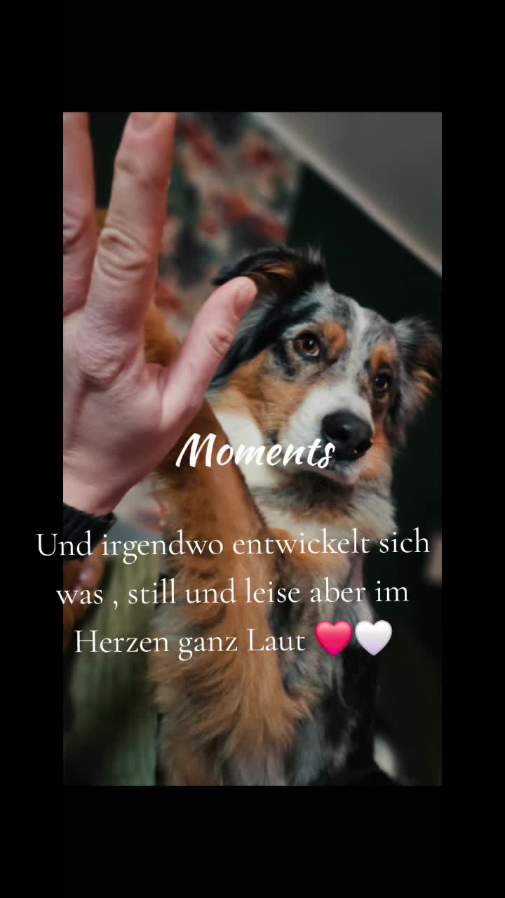 @Jeyjeynurjeyjey
