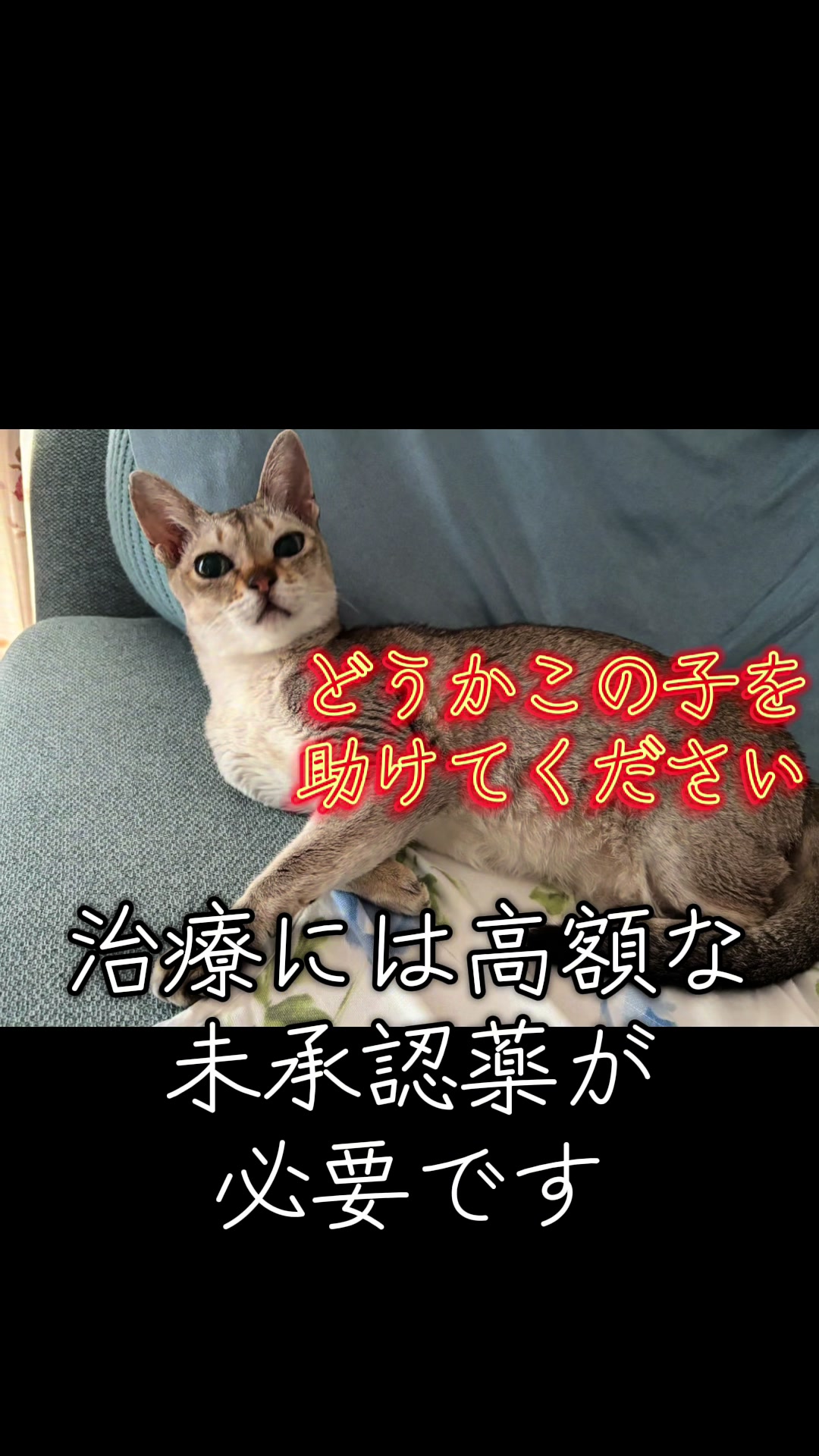 @Singapura_ran