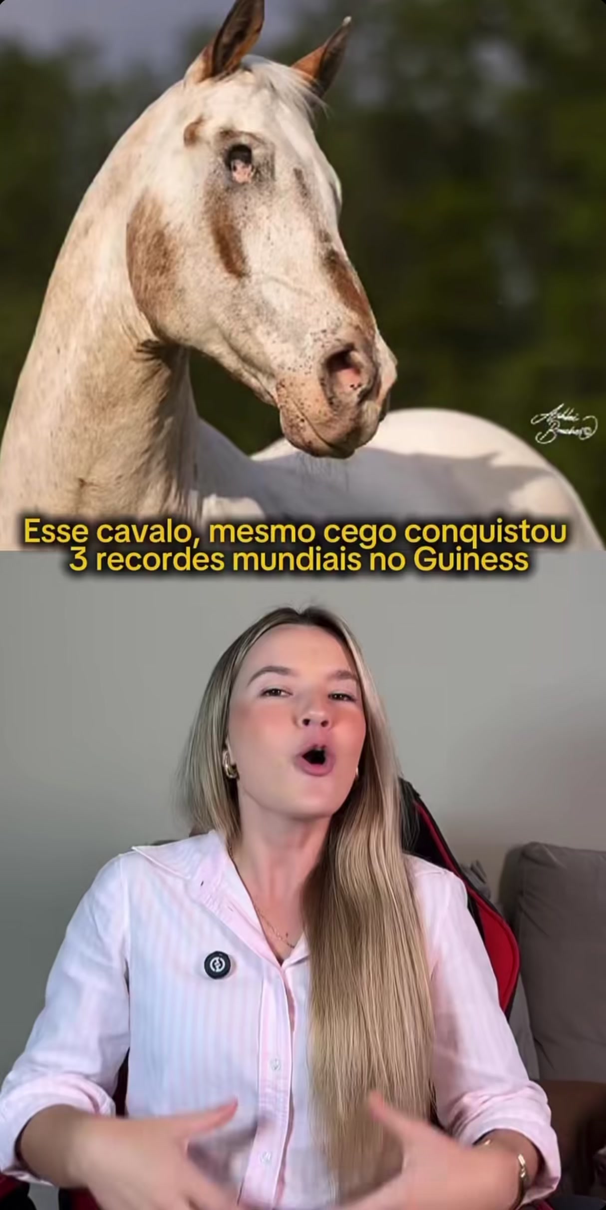 @manuvett