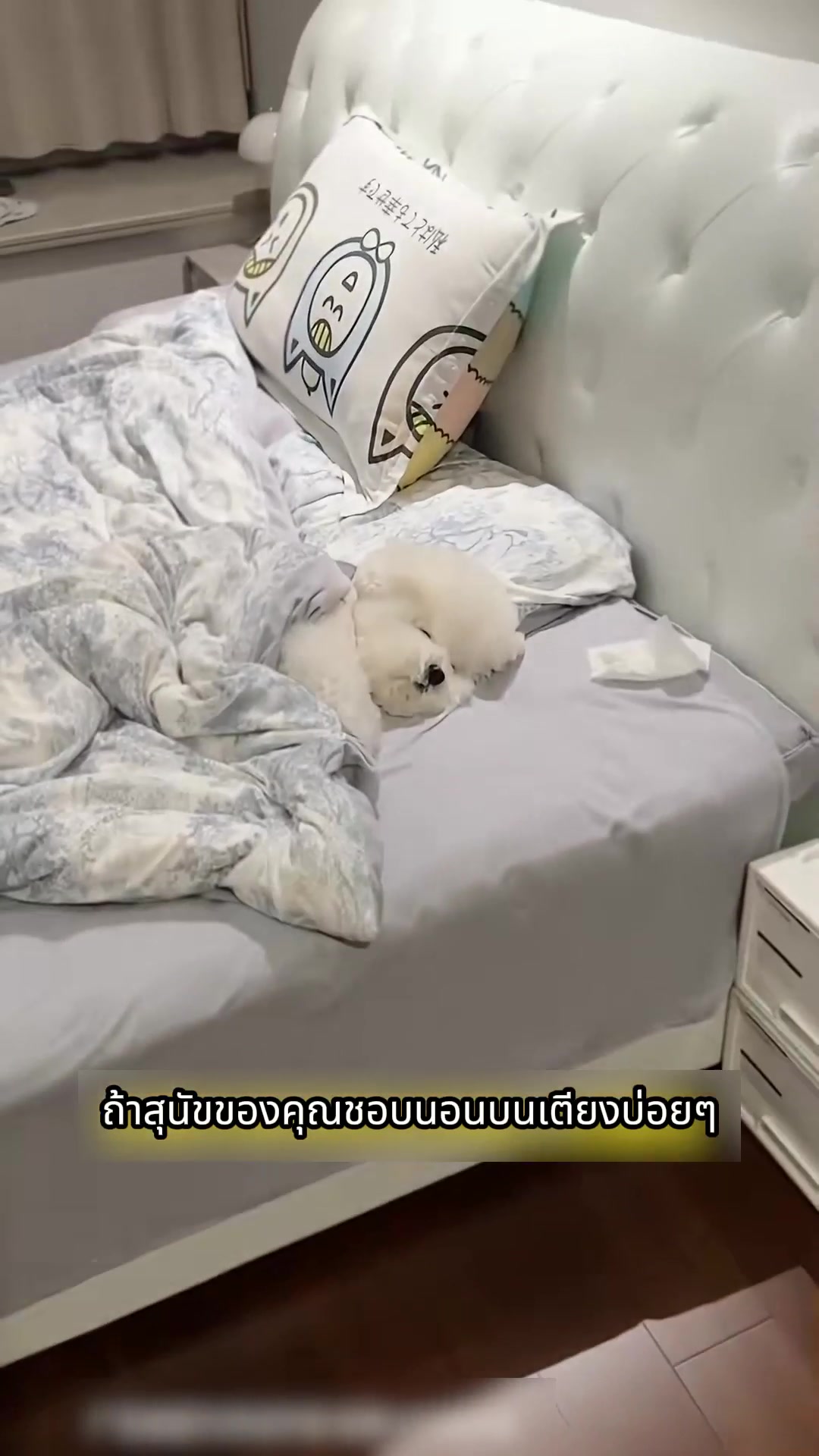 @เจียงเจียงคังคัง